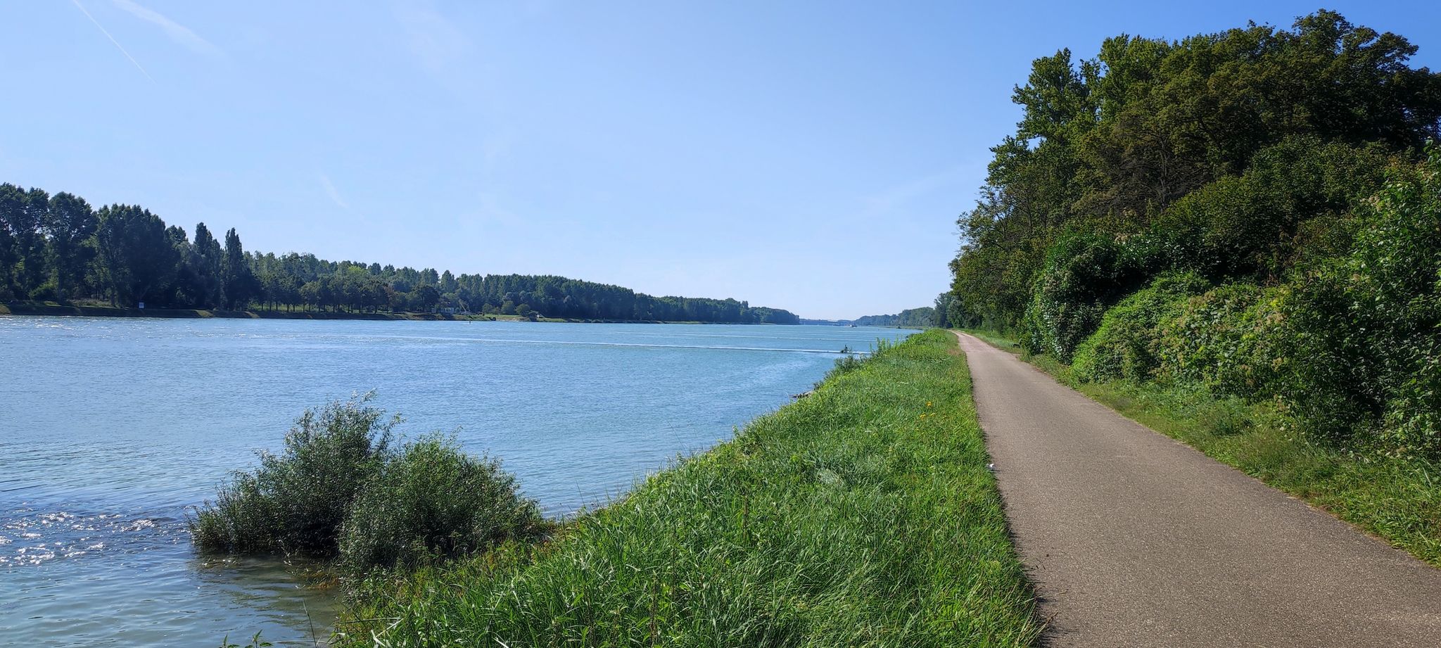 Am Rhein