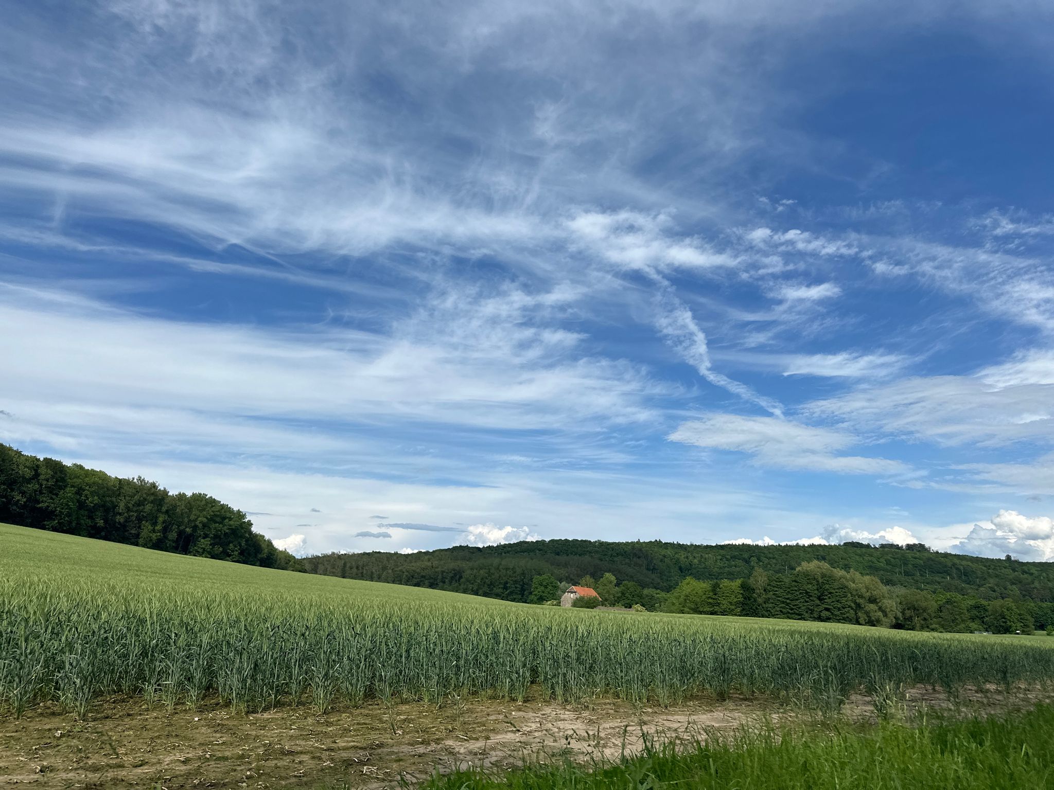 Gut Wintrup