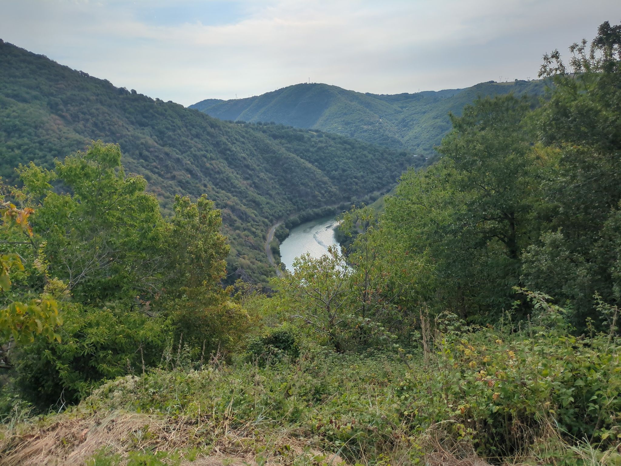 Blick zum Tarn