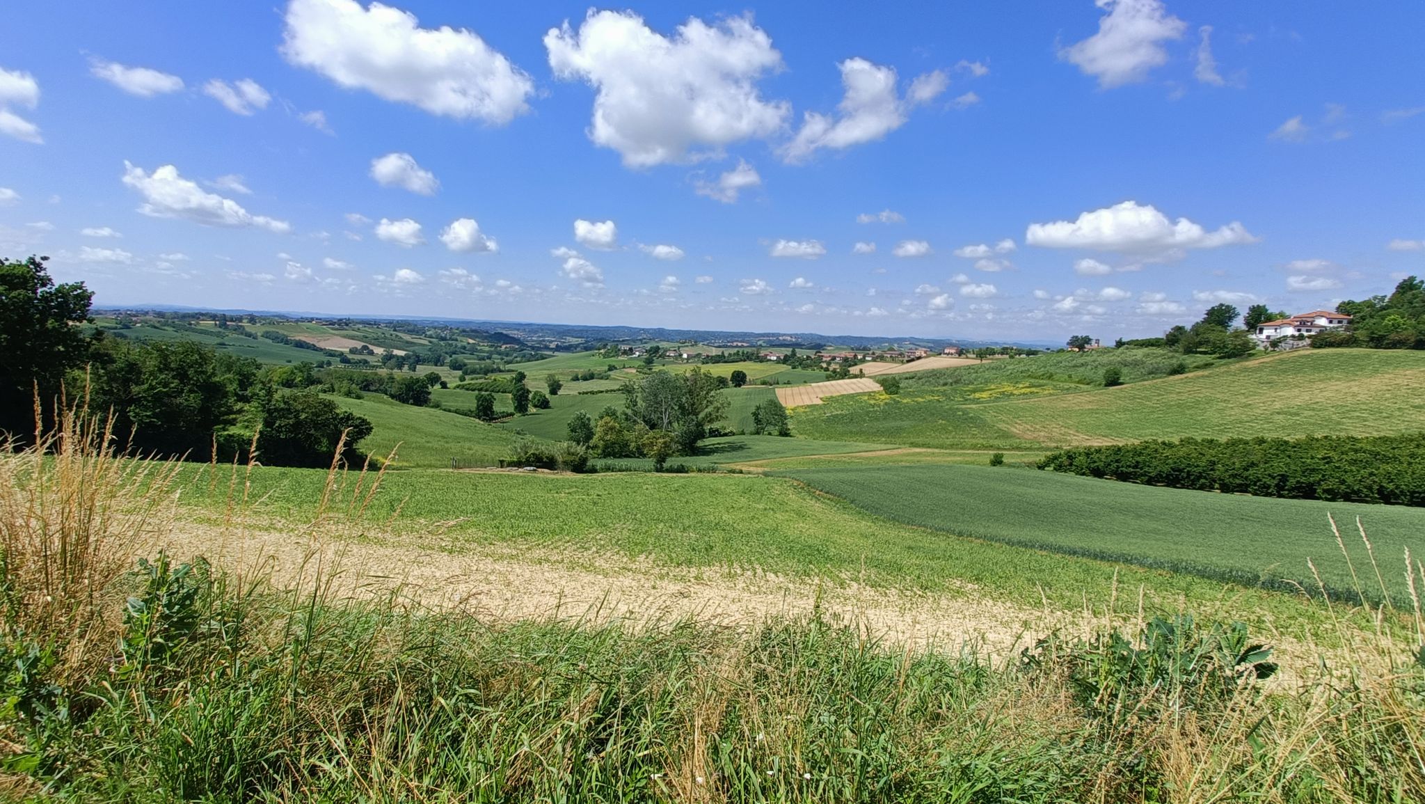 Paesaggi del Monferrato.