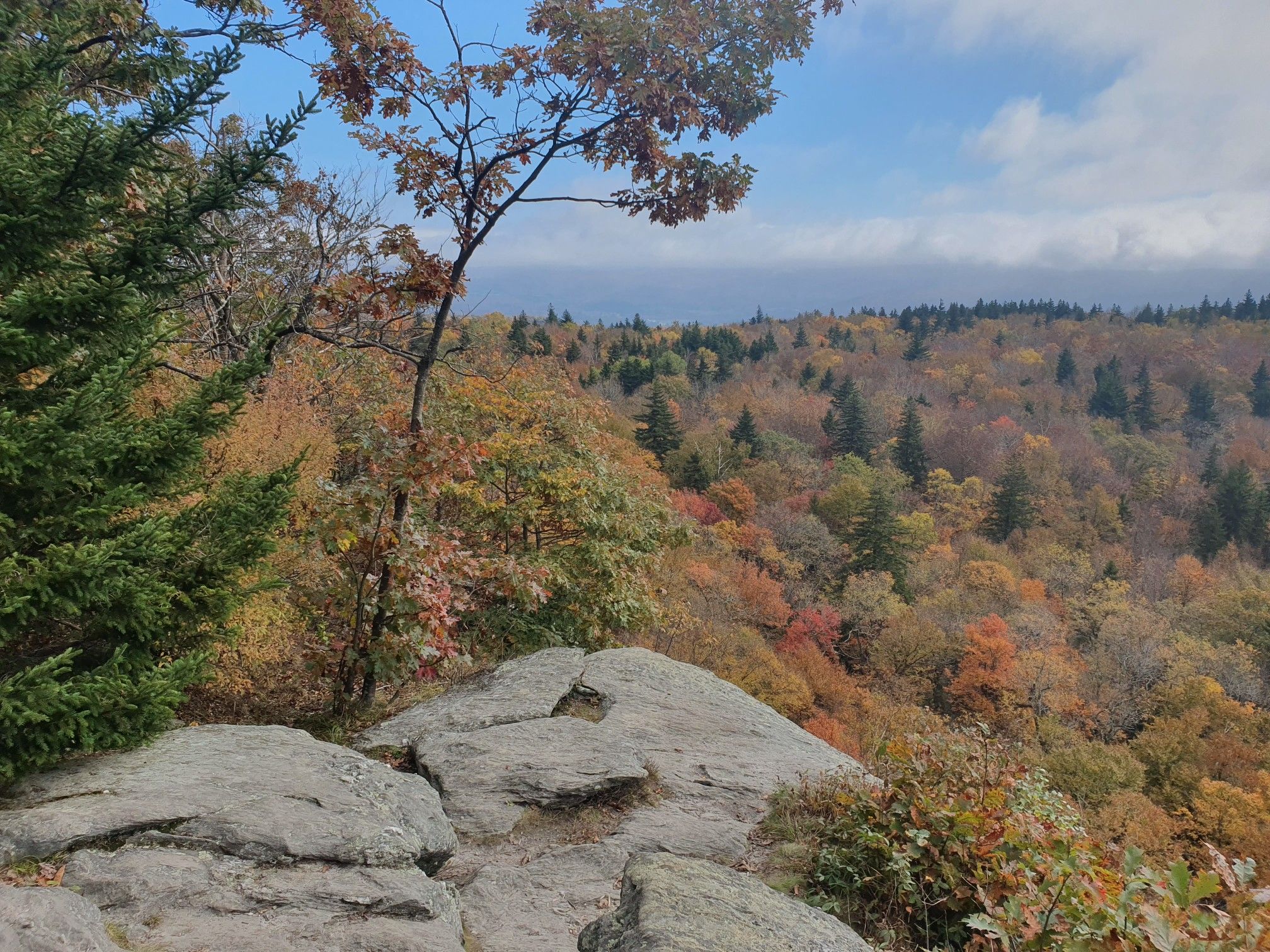 Scenic View