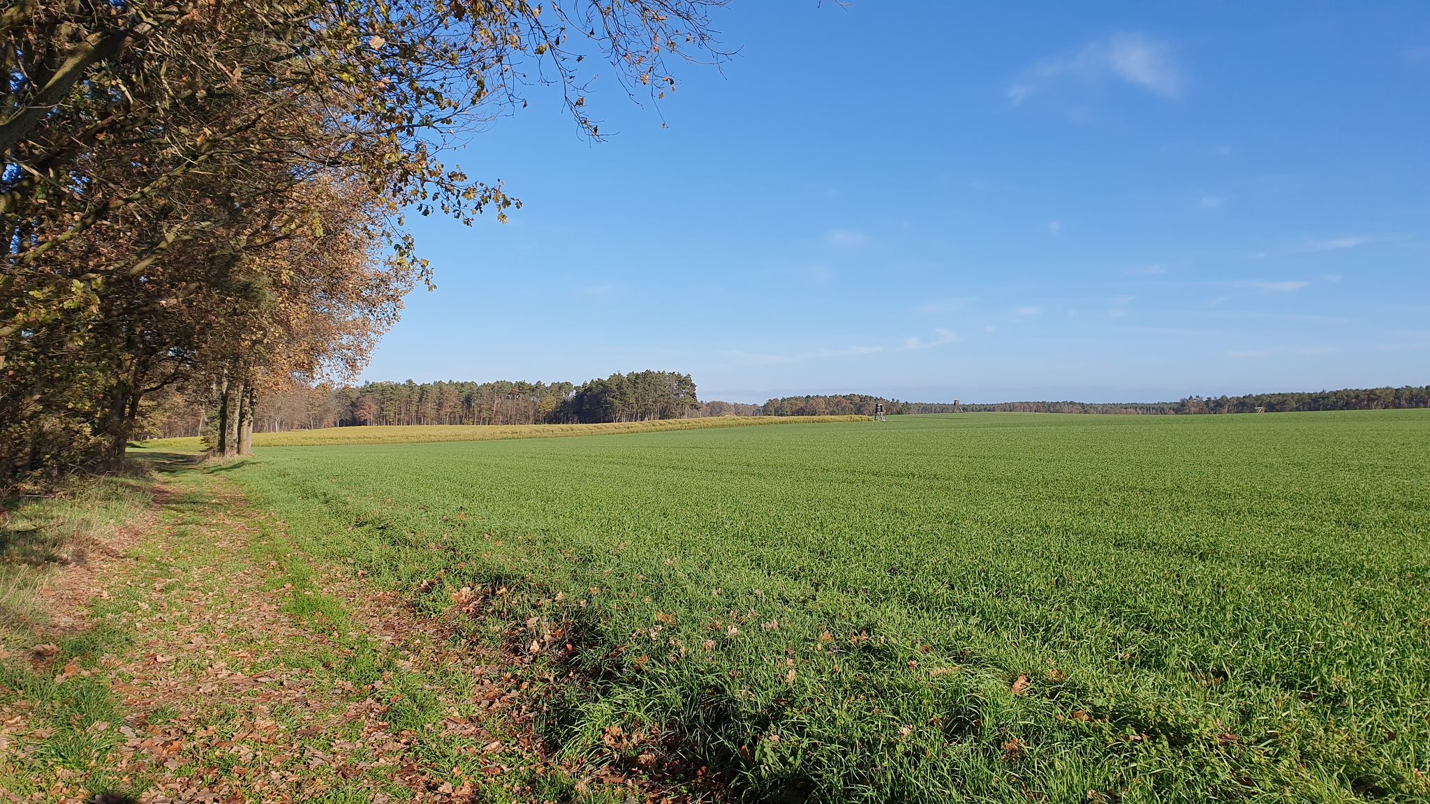 wir wandern eigentlich auf einem Radweg 😂