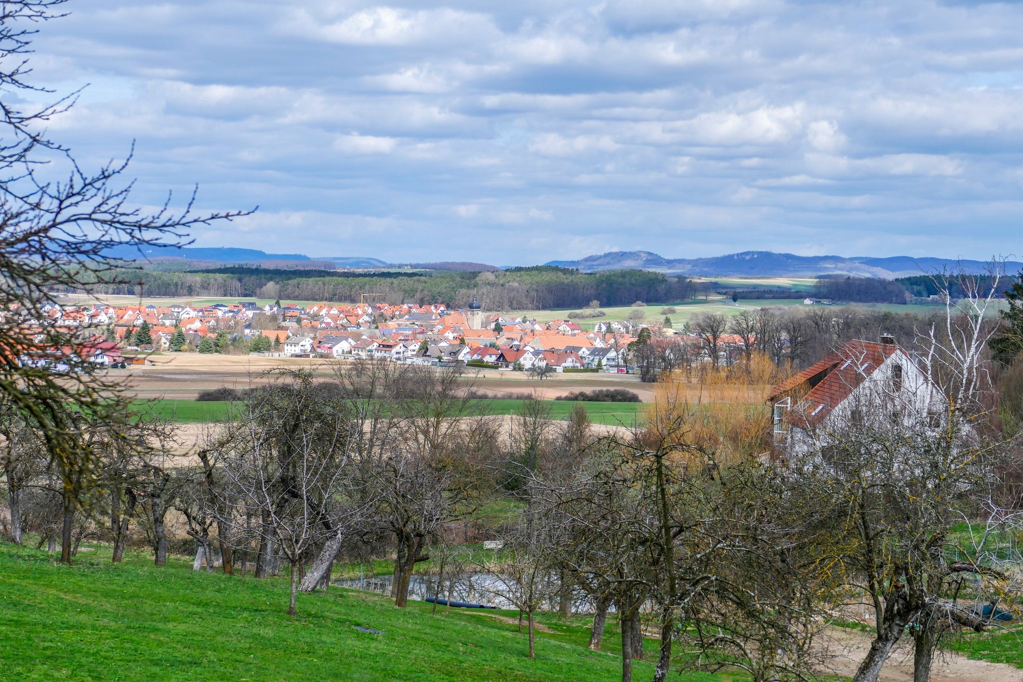 Bräuningshof