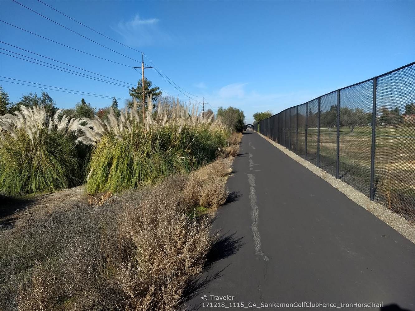 A paved path runs alongside a tall chain-link fence and feathery grasses. - Golf Ball Protection Tunnel – Iron Horse Trail loop from Dublin High School