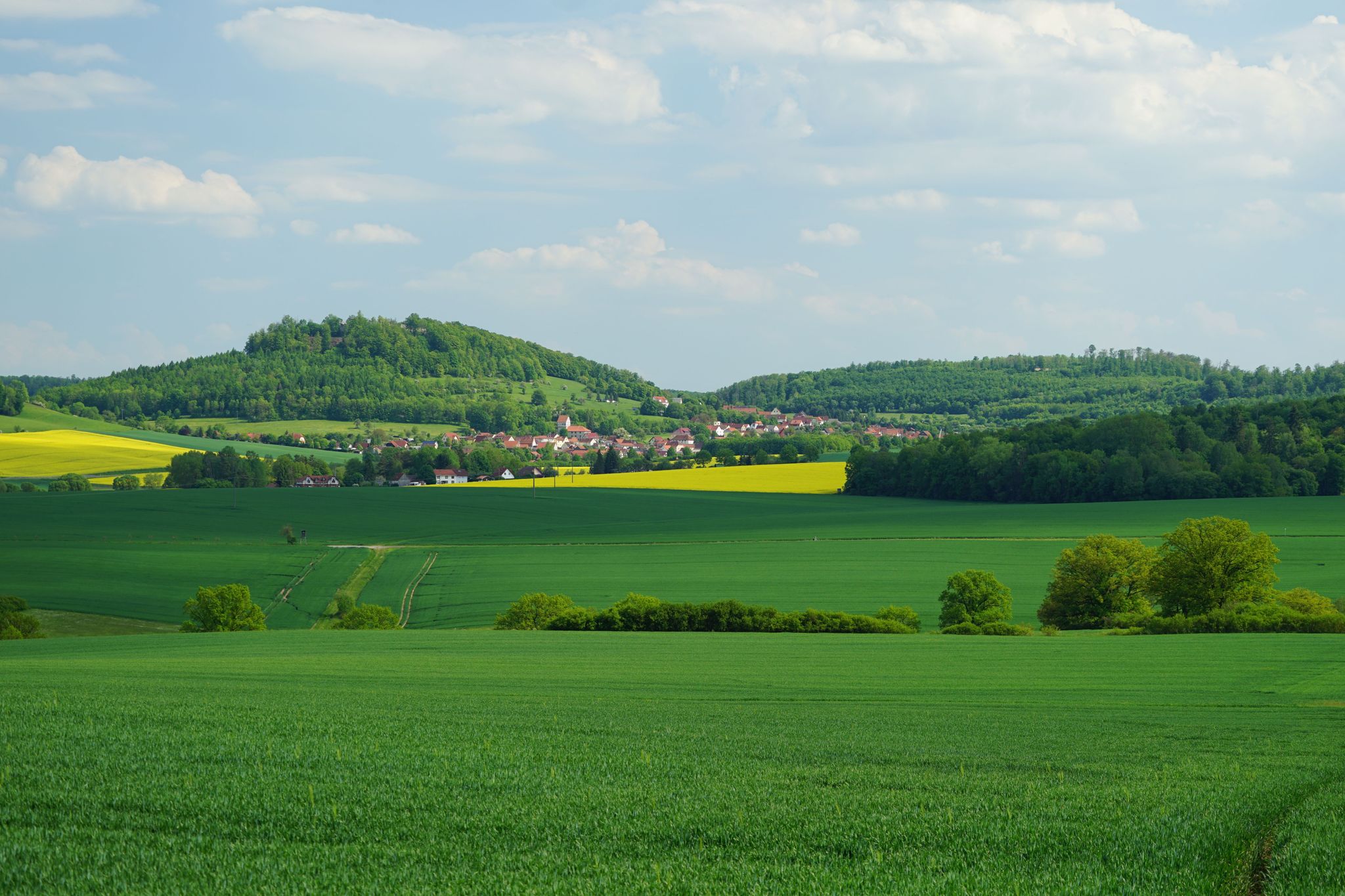 Blick zum Schlossberg Henneberg
