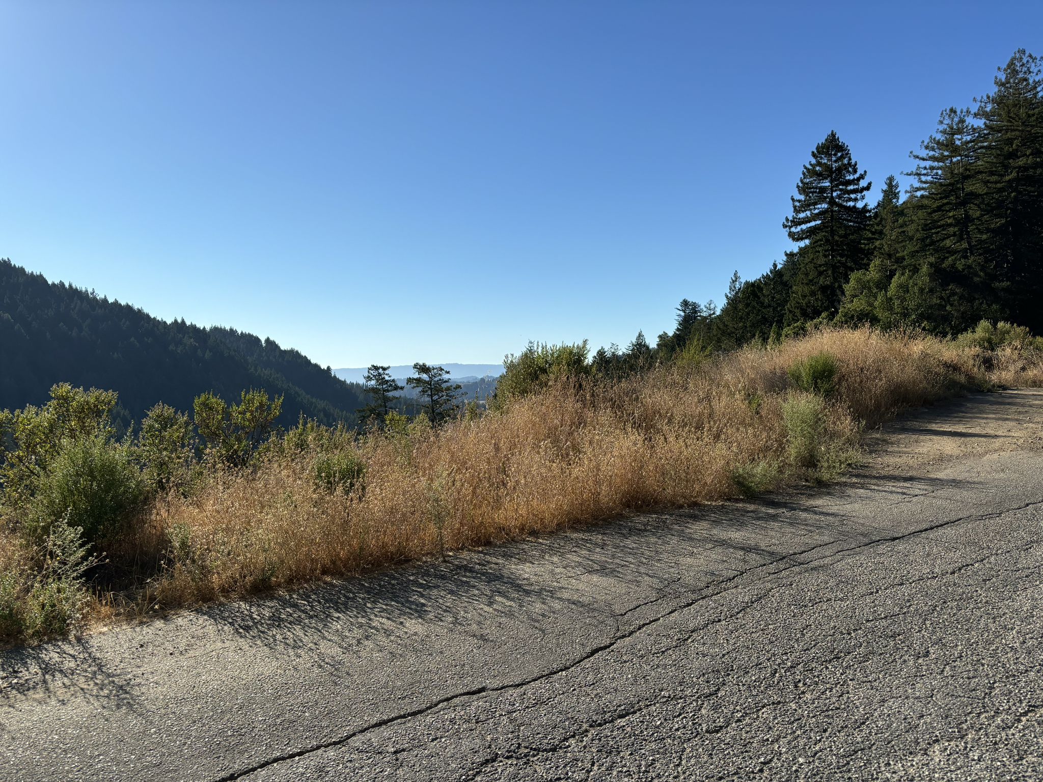 Cracked asphalt road beside dry grass, overlooking forested hills on a clear day. - Highland Way