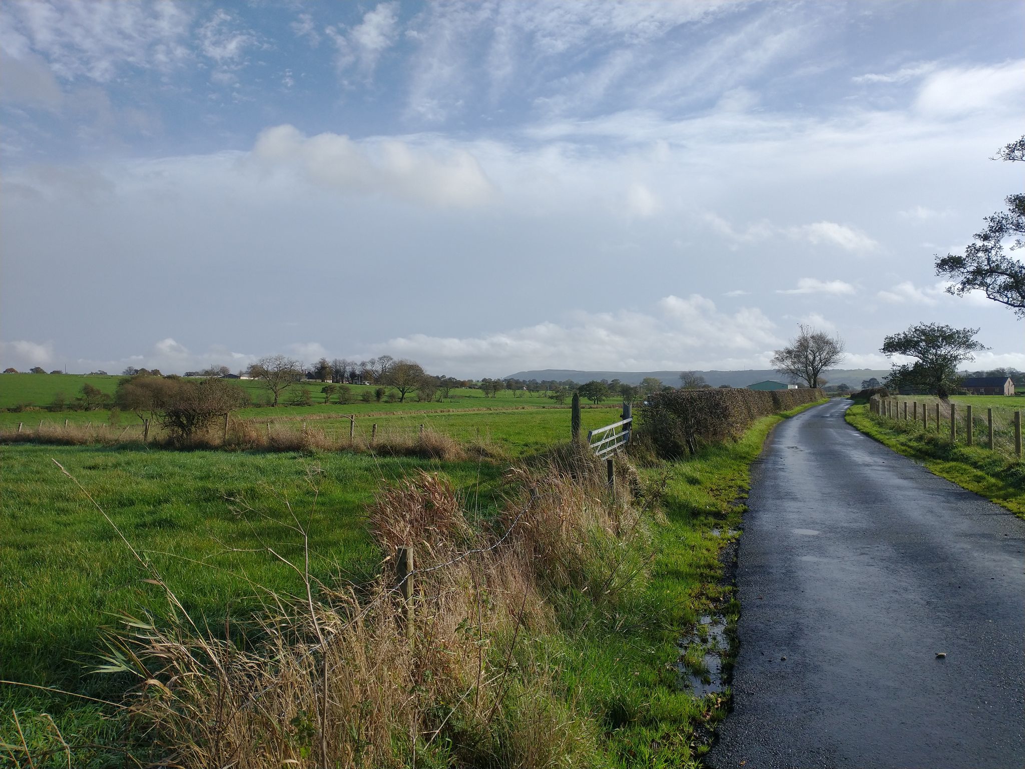 View of Longridge Fell in the distance
