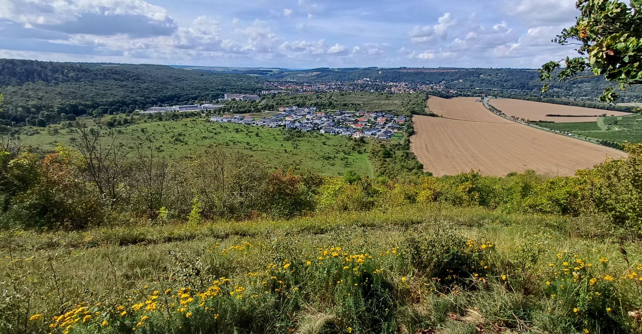 Blick nach Bad Kösen