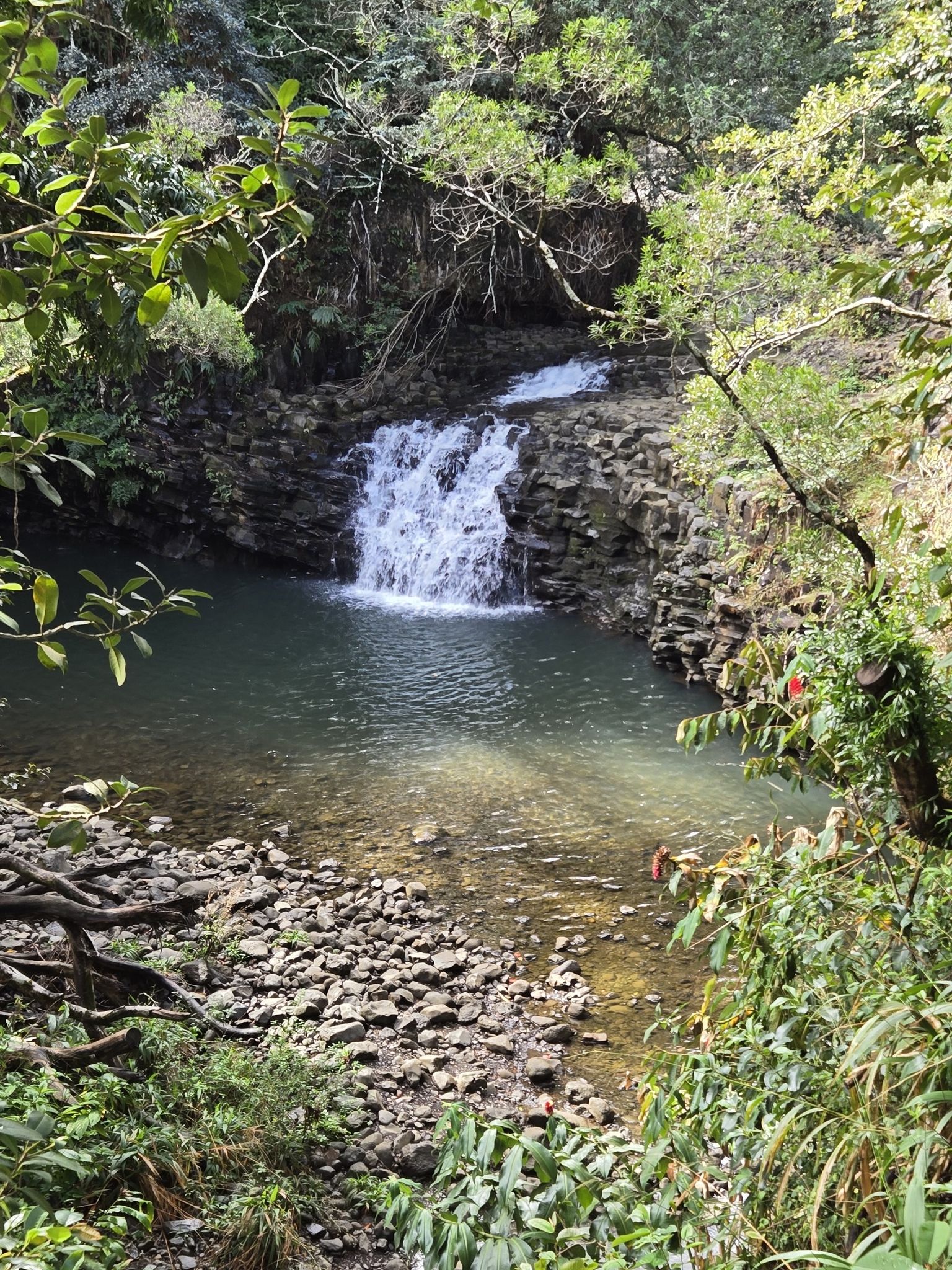 A small waterfall cascades into a clear pool surrounded by lush greenery. - Second Waterfall – Twin Falls loop from Twin Falls