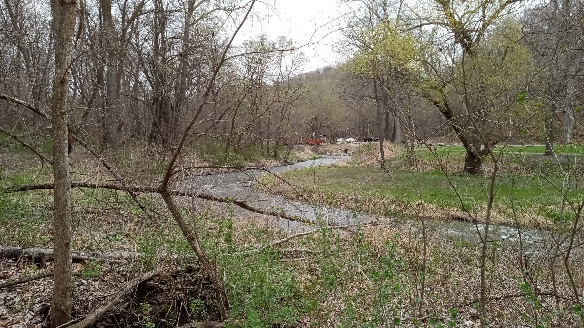 peaceful river