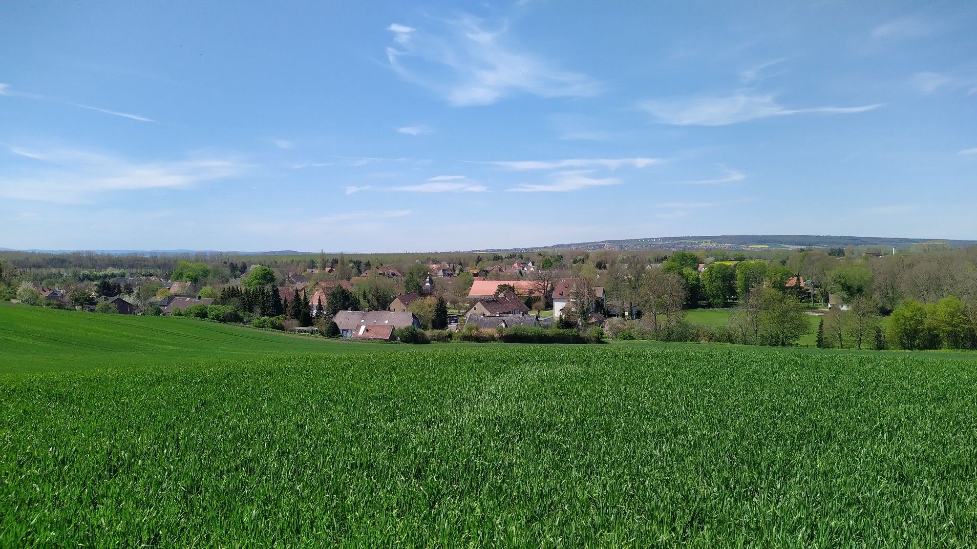Offleben