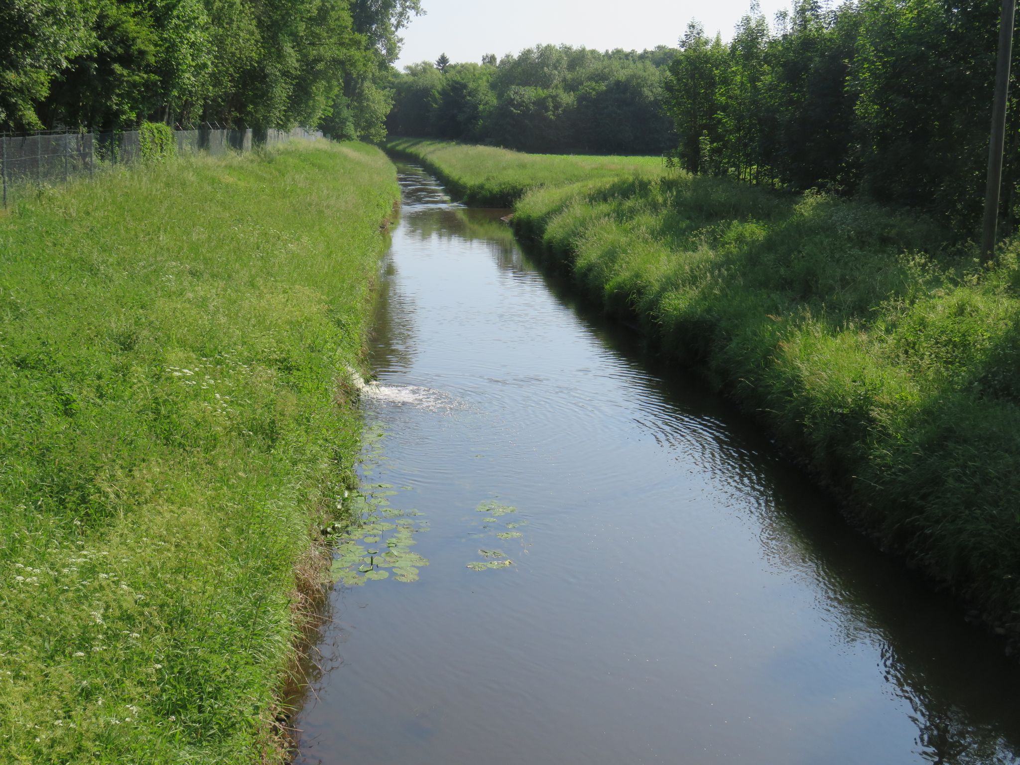 Große Aa
