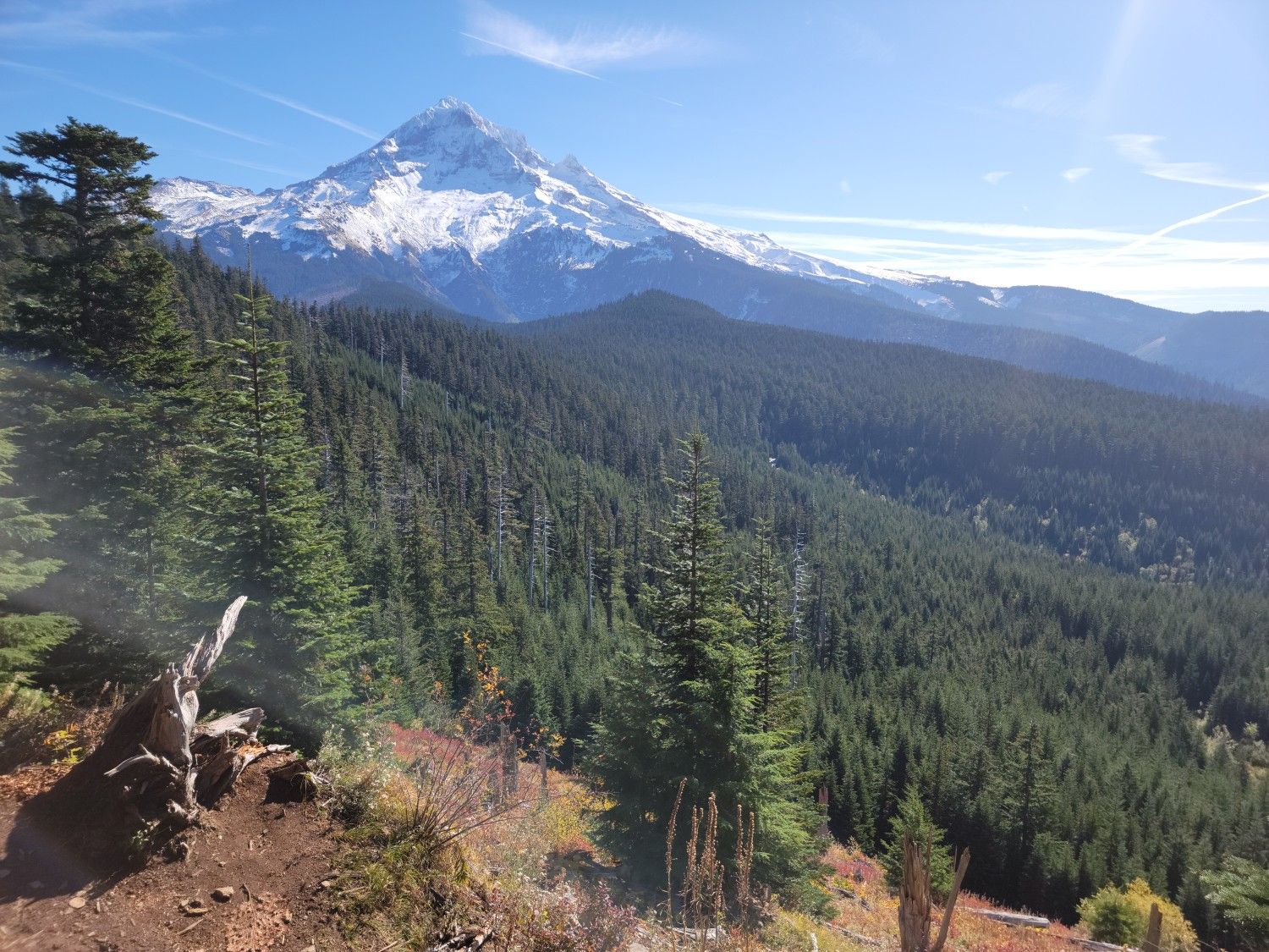 Snowy mountain peak rises above a vast evergreen forest under a clear sky. - Bald Mountain from Lolo Pass Trail