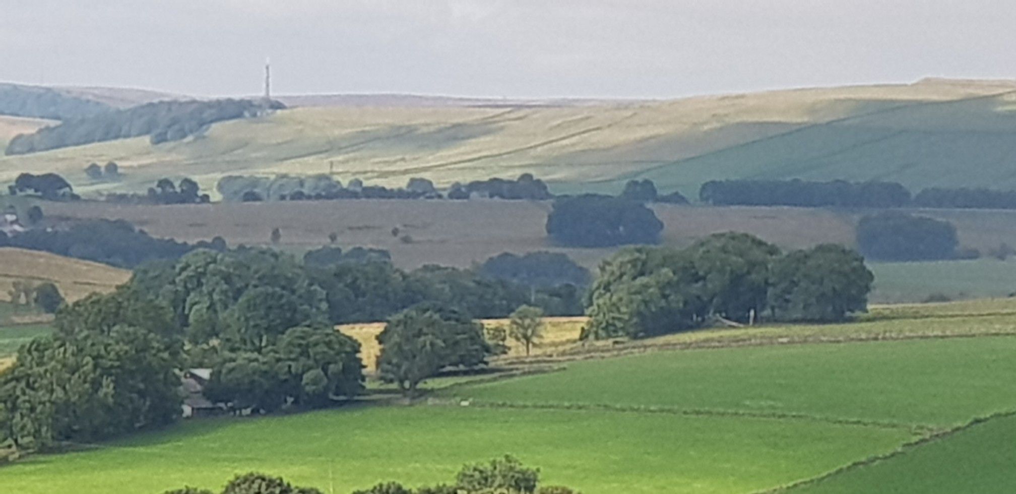 Sparrowpit Mast