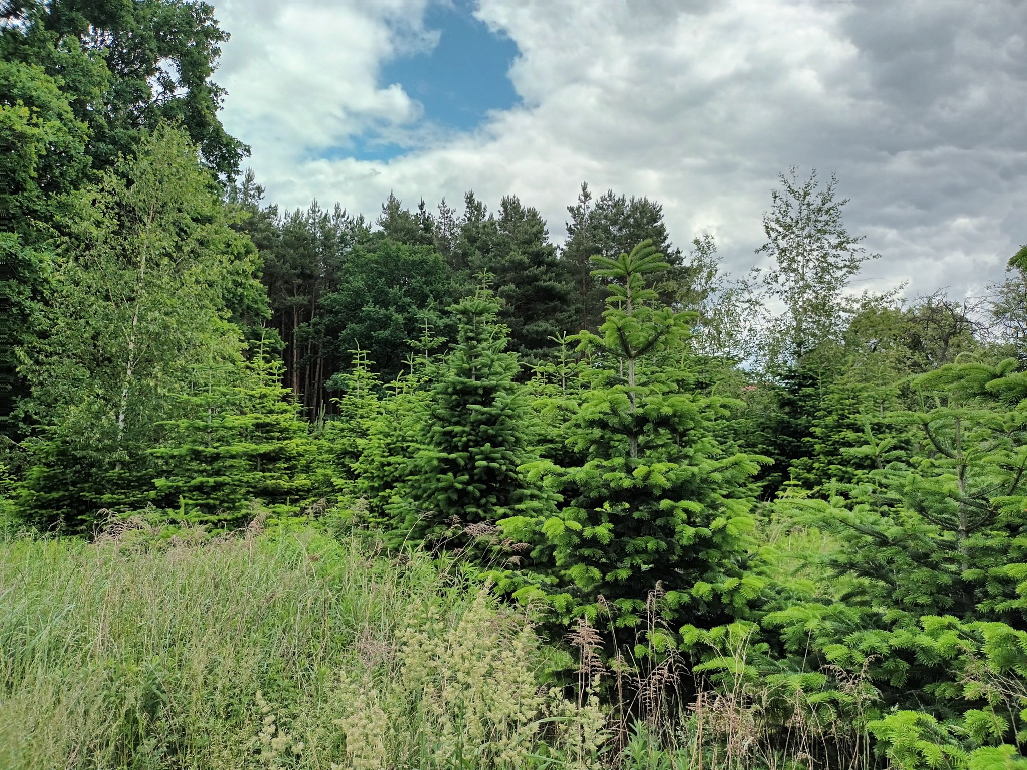 Waldfriedenstraße/Gartenweg