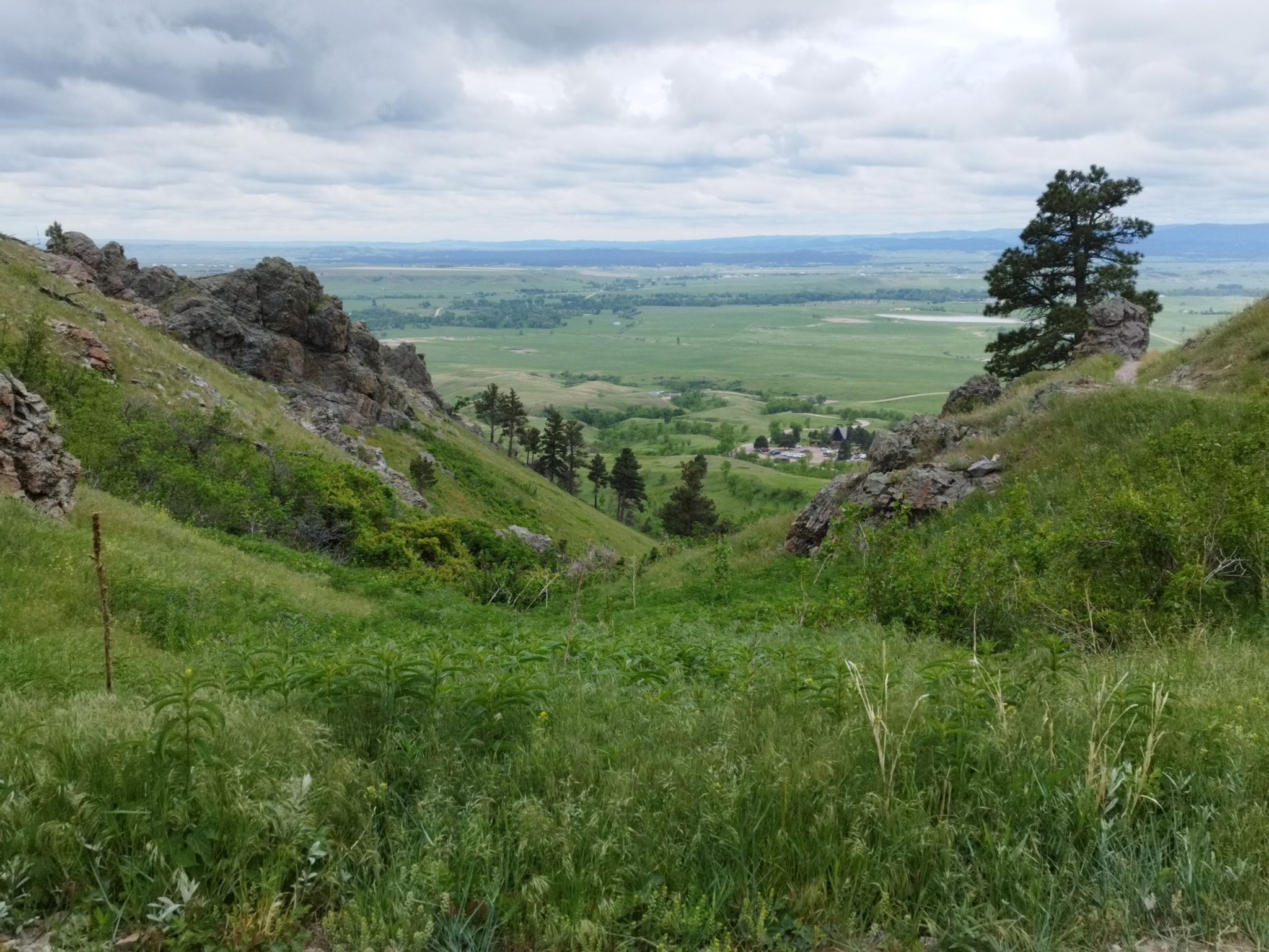 Lush green valley with rocky hillsides, distant plains, and an overcast sky. - Bear Butte