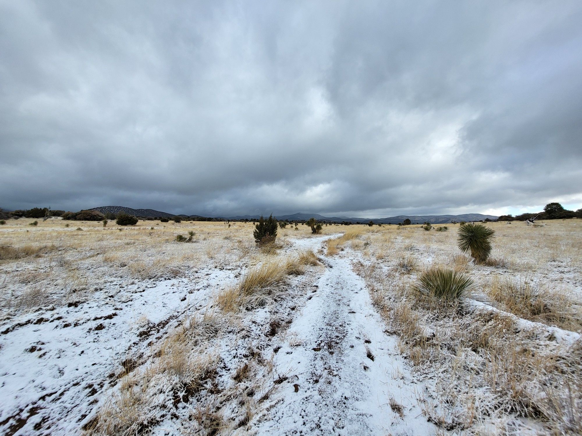 Snow-dusted dirt path through a winter field under a cloudy sky. - Twin Sisters Creek and Dragonfly Outer Loop