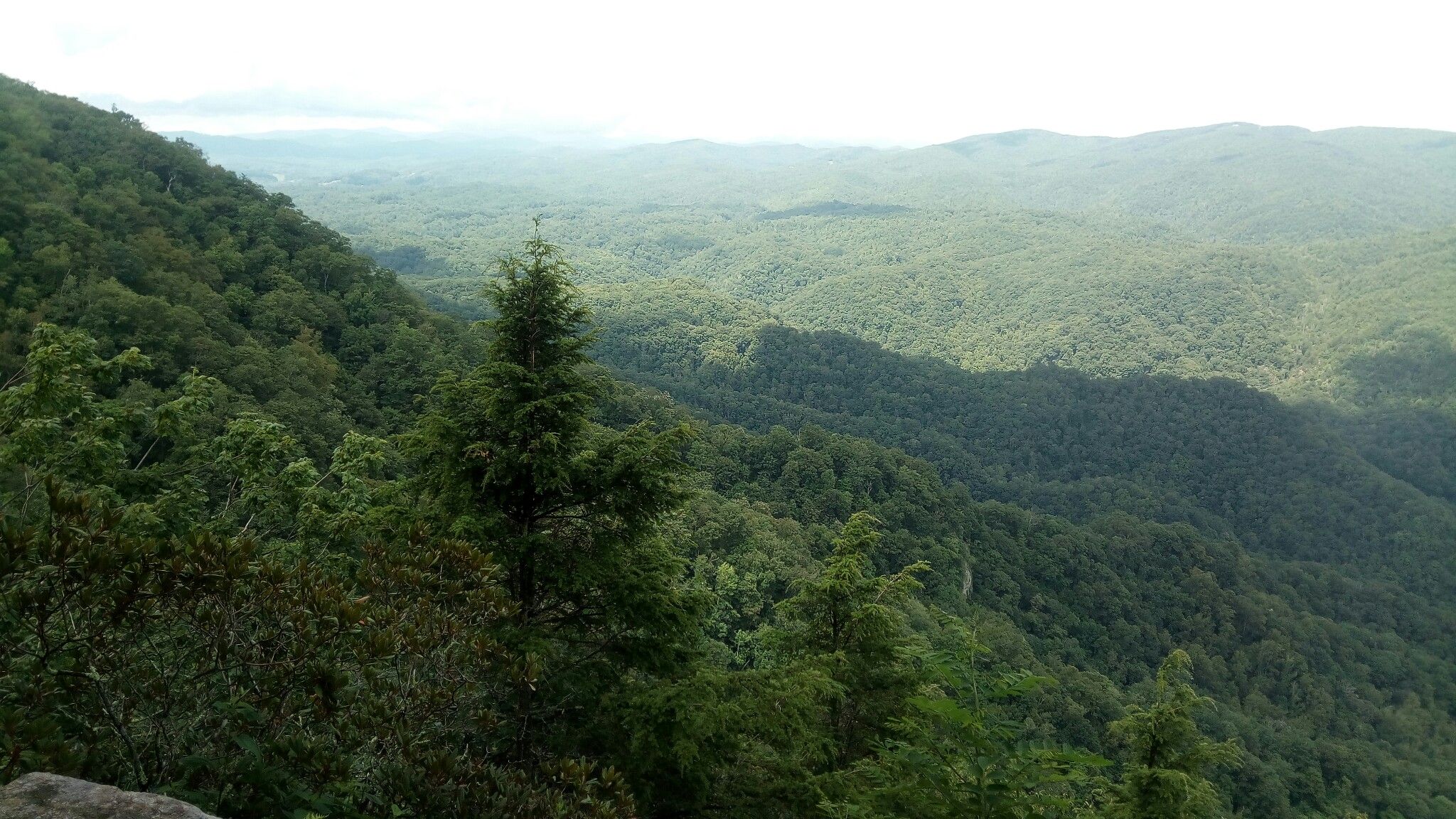 Lush green mountain slopes and valleys under bright, diffused light. - Chestoa View Loop Trail
