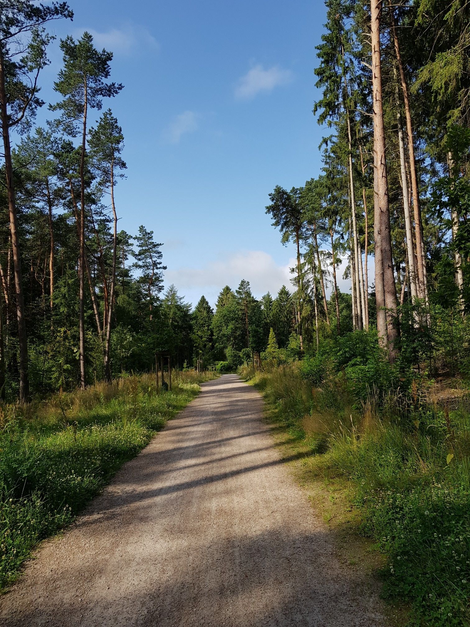 aufgeräumter Weg
