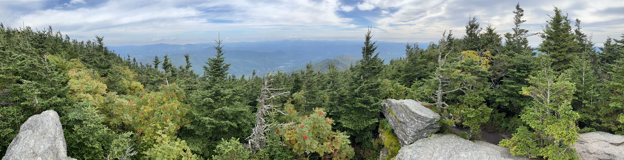 Panoramic view of dense evergreen forest and distant mountains under a cloudy sky. - Daniel Boone Scout Trail