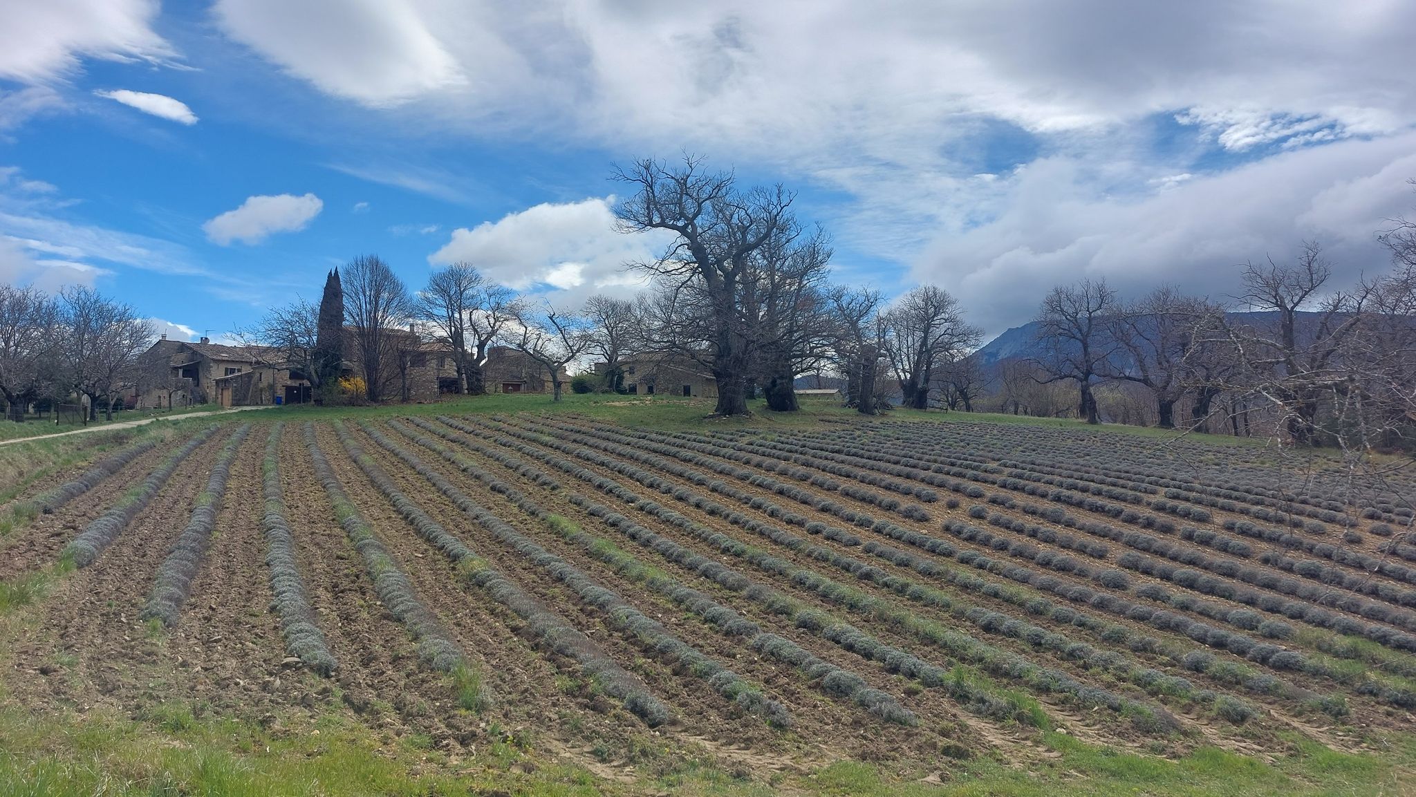 Hameau de Pauliet