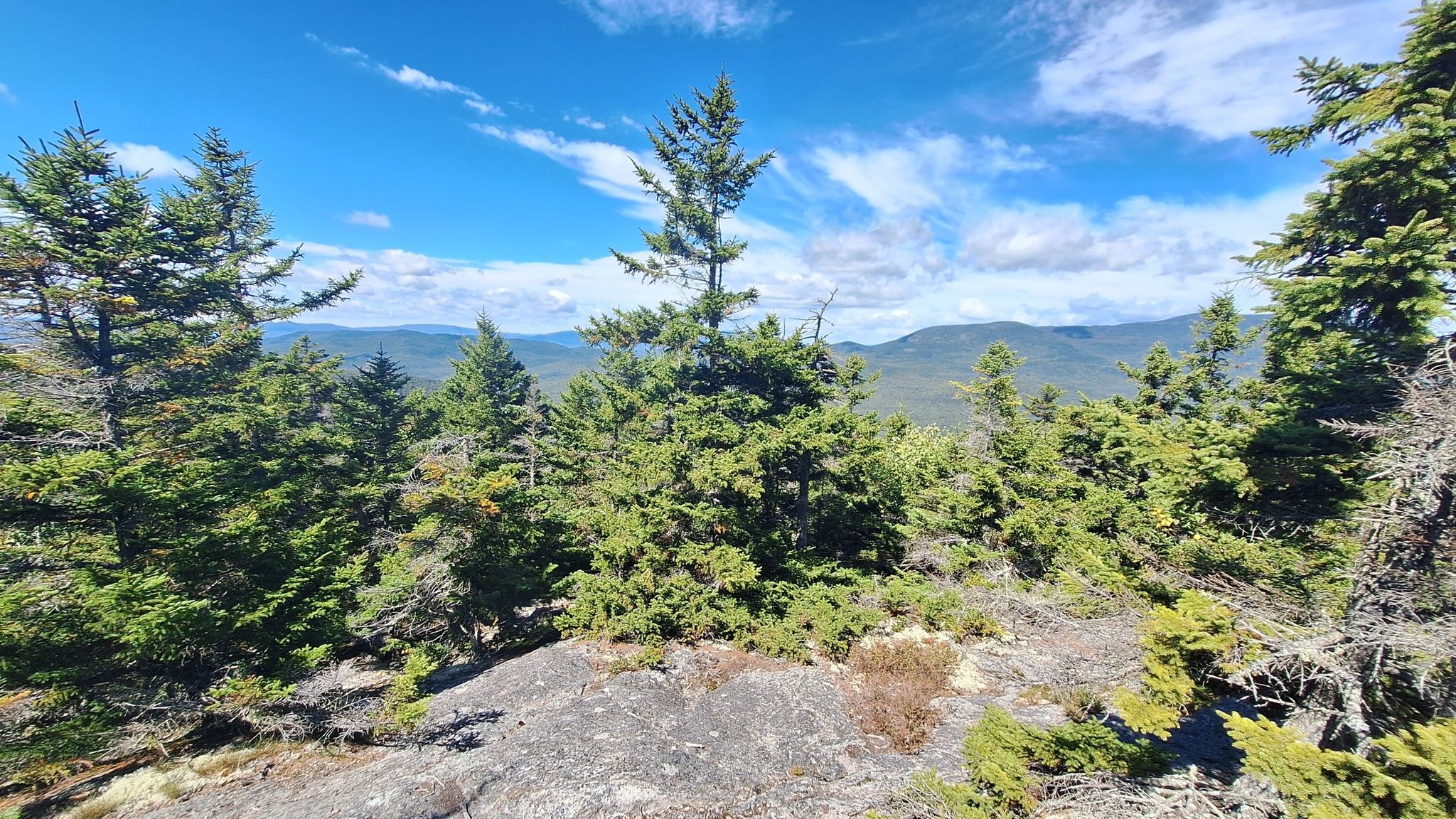 Evergreen trees on a rocky outcrop with distant mountains under a blue sky. - Mount Israel – Beede Falls loop from Metcalf Preserve