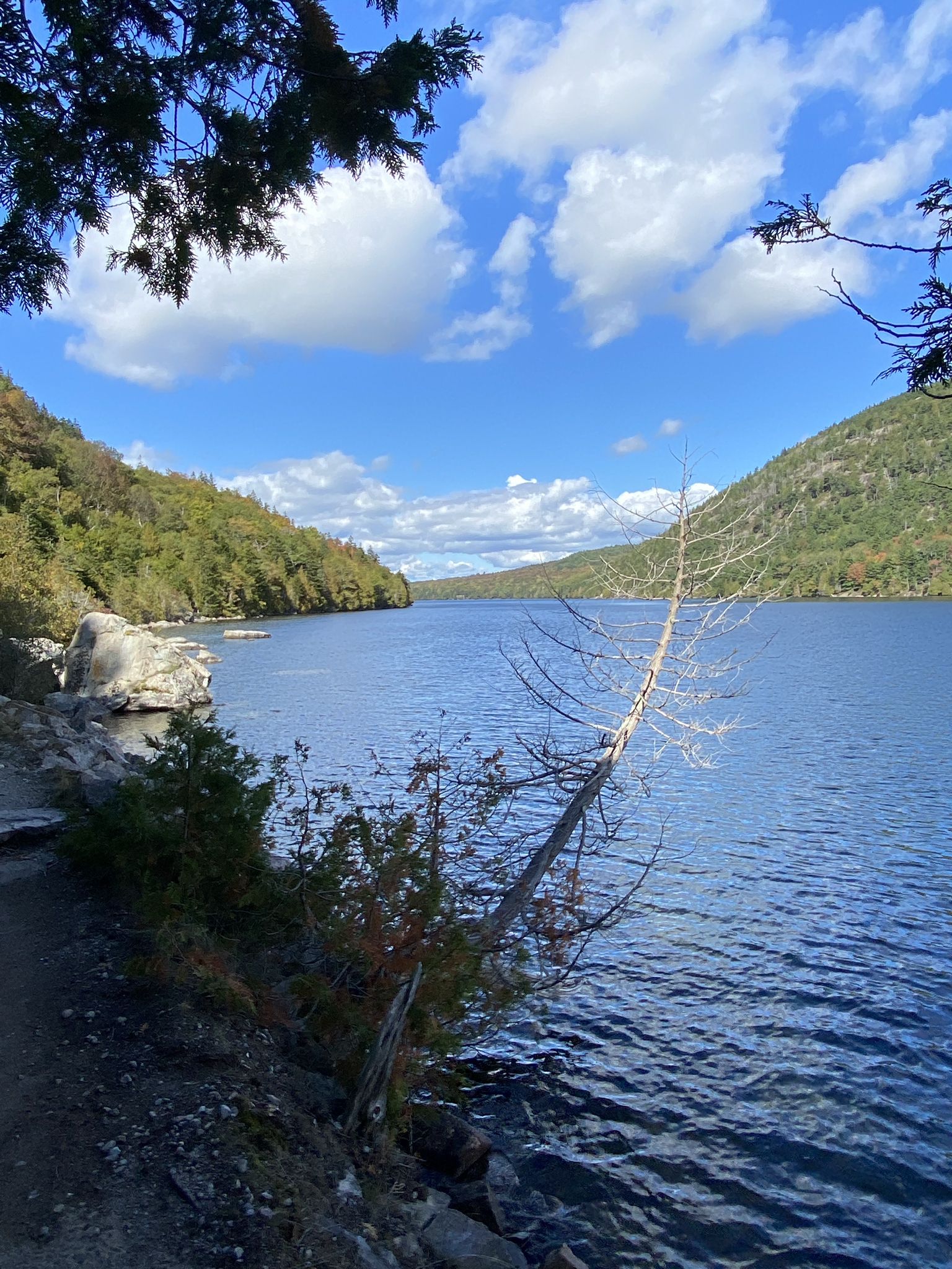 Sunny lake view with forested mountains, a dead tree, and blue sky. - Great Notch and Long Pond Loop