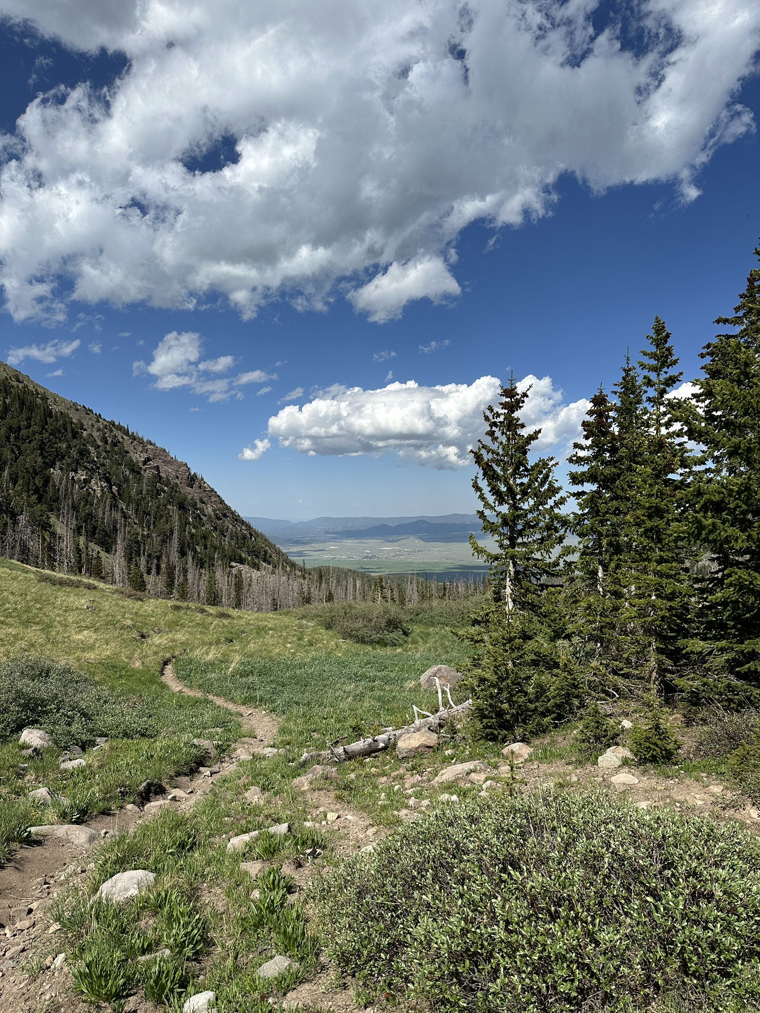 Grassy mountain trail leading to a valley with distant plains under cloudy sky. - Venable-Comanche Trail loop