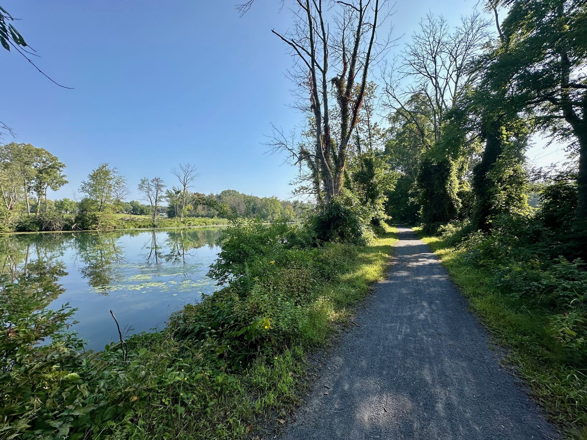 A gravel path runs beside a calm lake under a clear blue sky. - Cayuga-Seneca Canal Trail