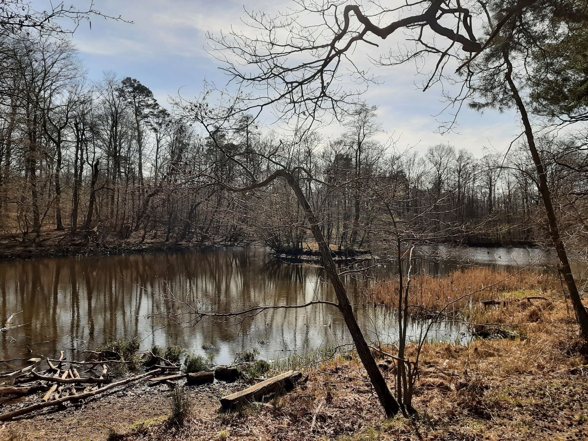 Schafteich
