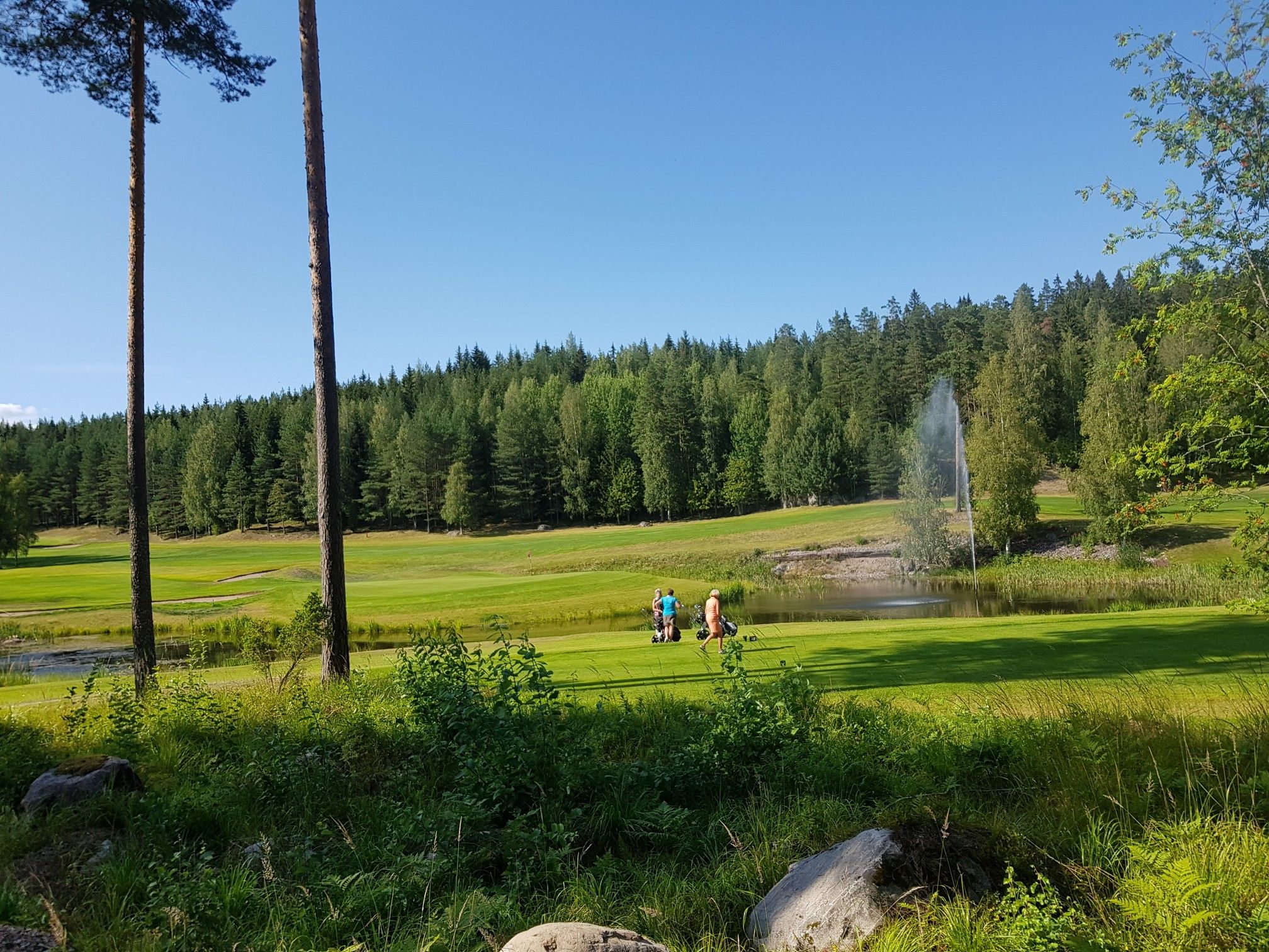 Messilän golfkenttien läpi