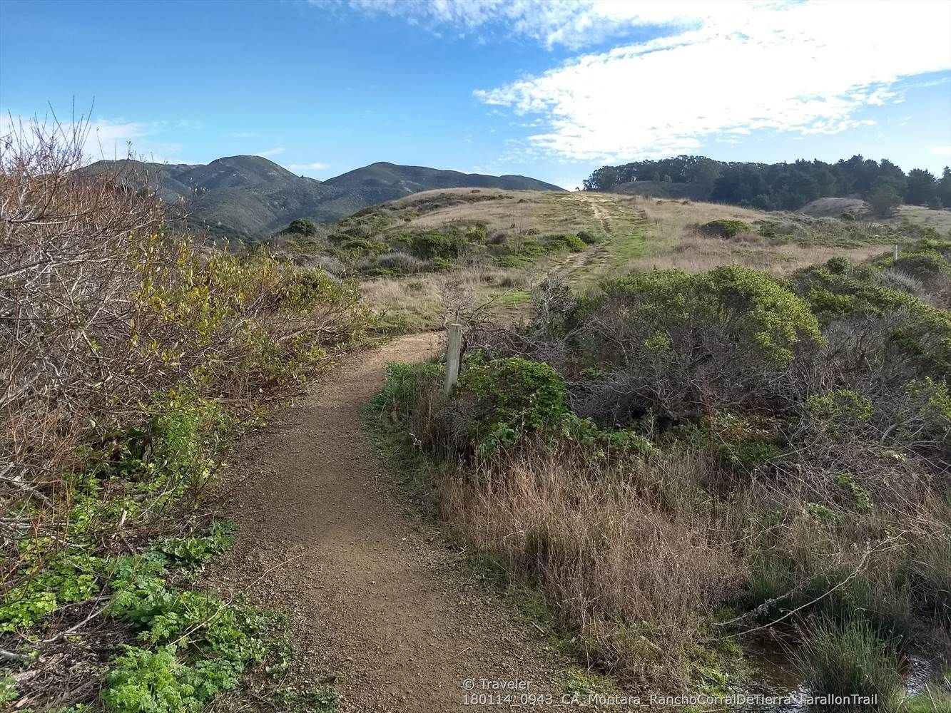 Dirt path winding uphill through dry grass and shrubs under a blue sky. - Farallone Road and Old San Pedro Mountain Road Loop