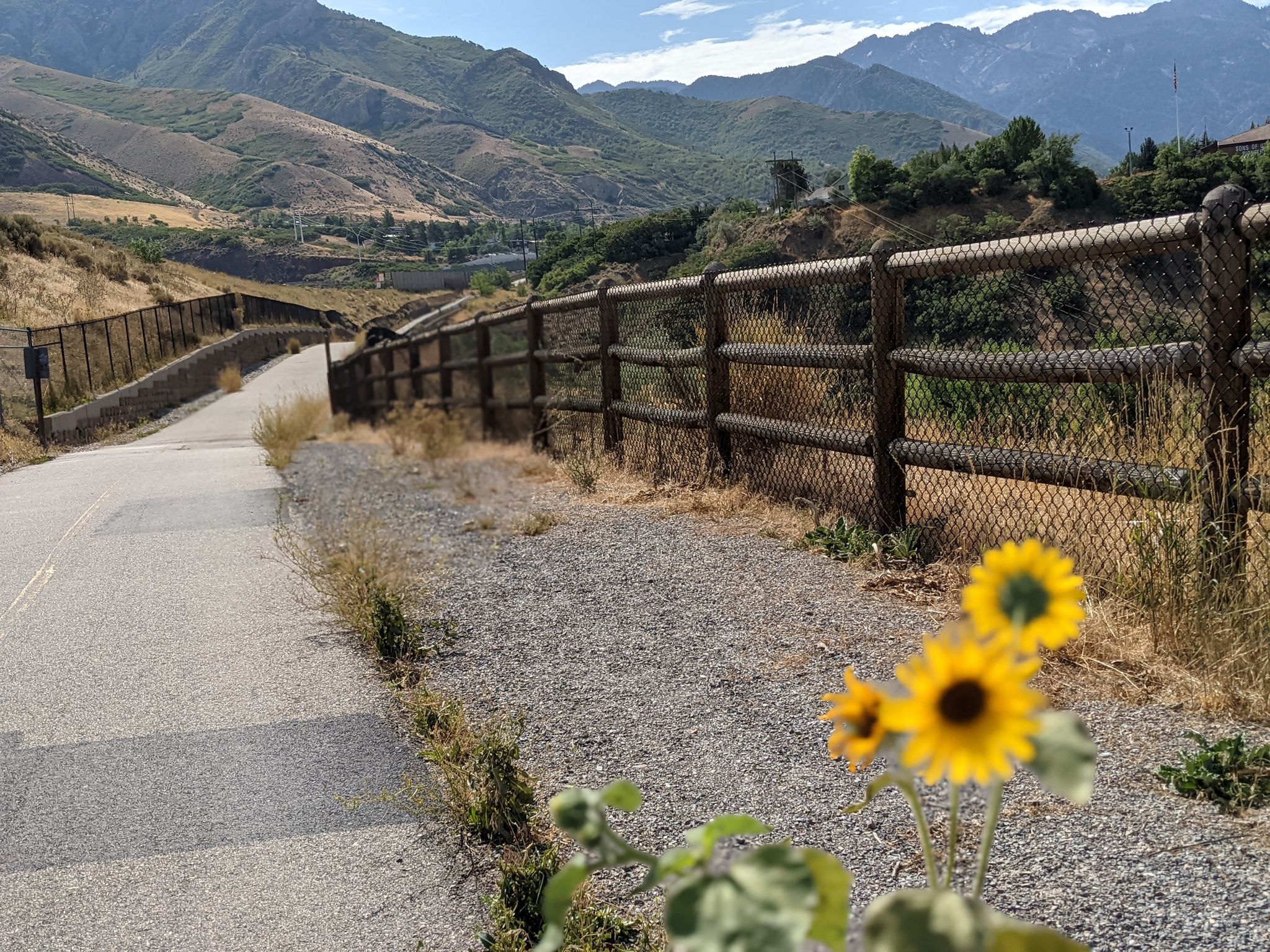 A paved path with a fence, sunflowers, and dry hills leading to mountains. - Parley's Trail