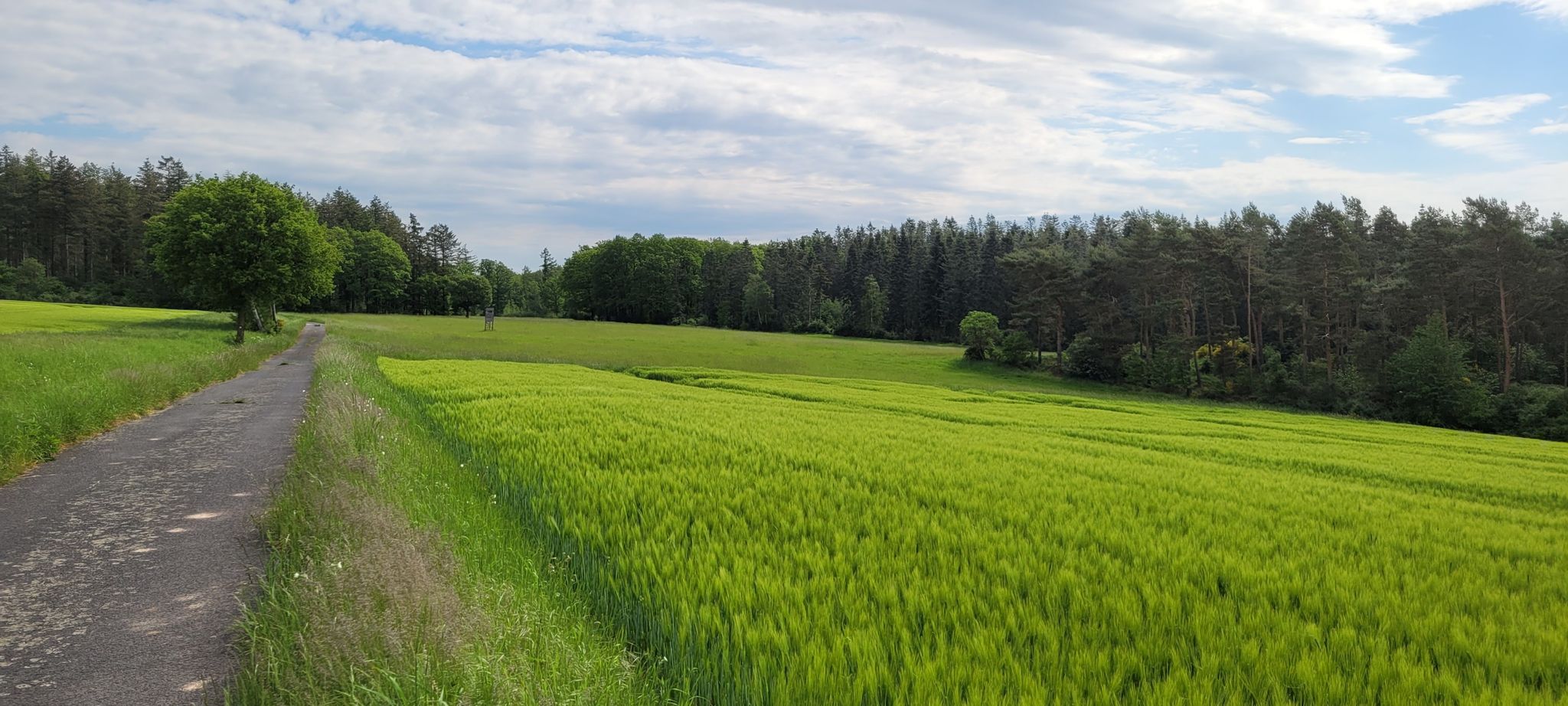 unterschiedliches Grün