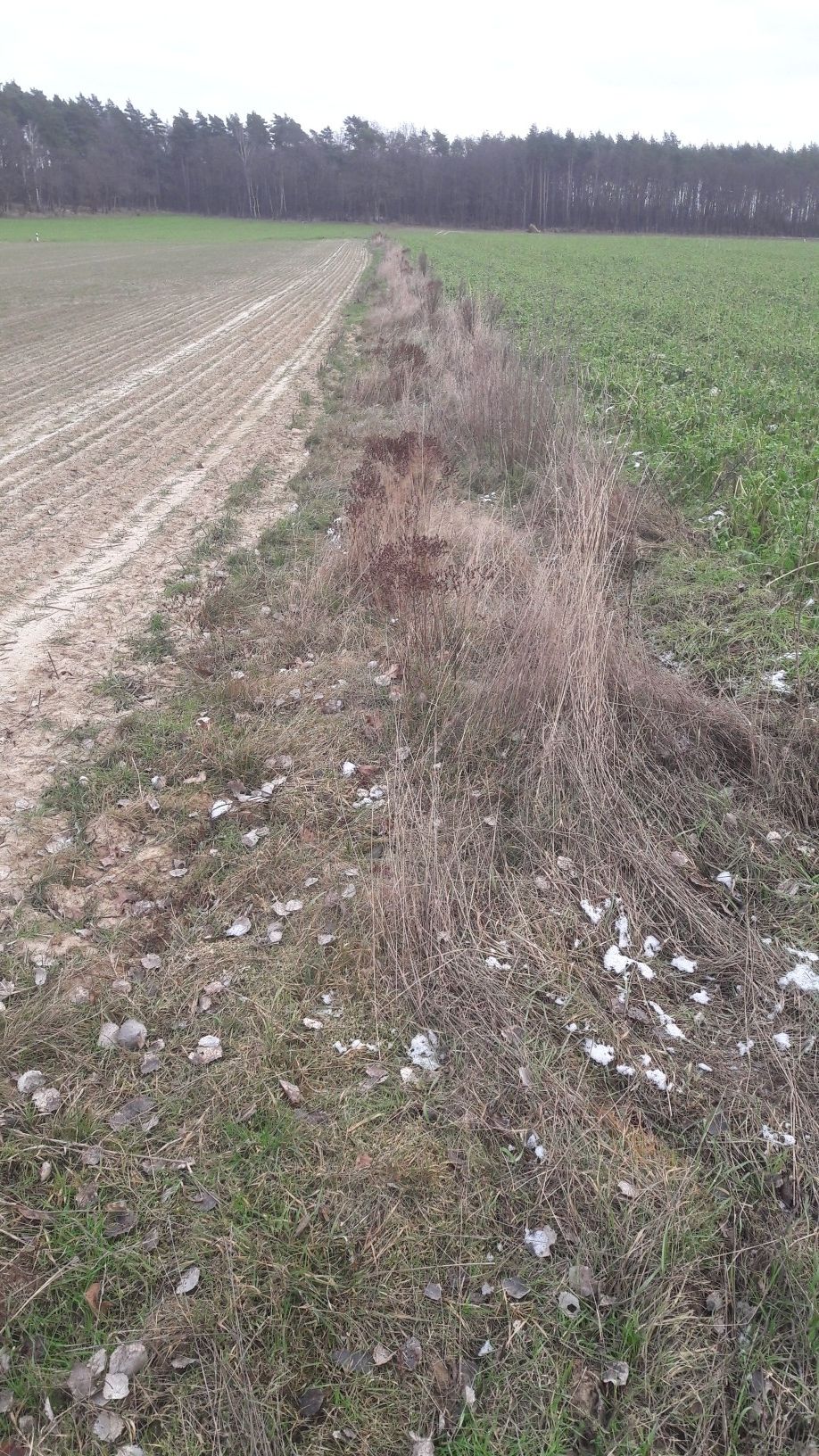 Das war einmal ein breiter Weg!