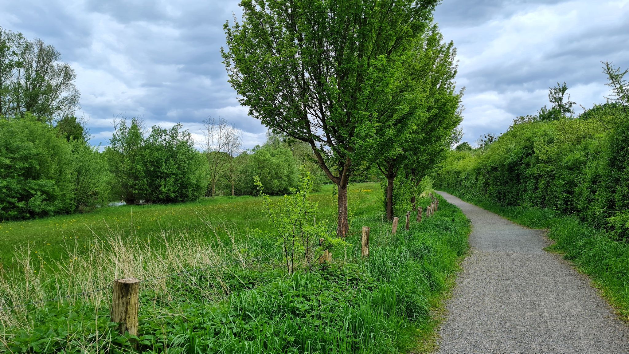 Radweg am Bruchgraben