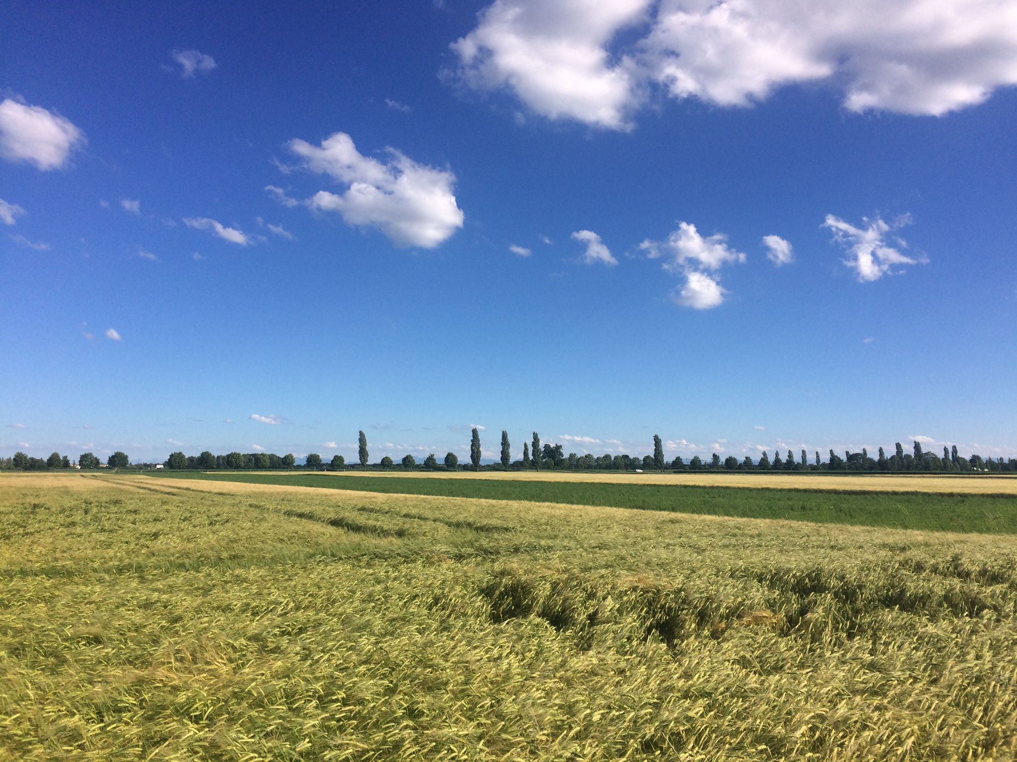 Blick in die Berge