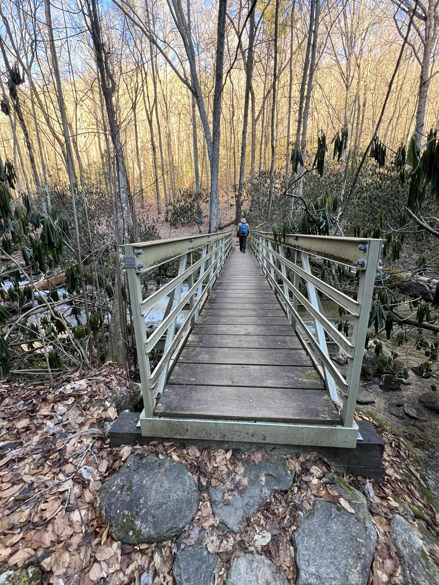 Person with a backpack walks across a metal footbridge in a sunny winter forest. - Jones Gap Falls Trail