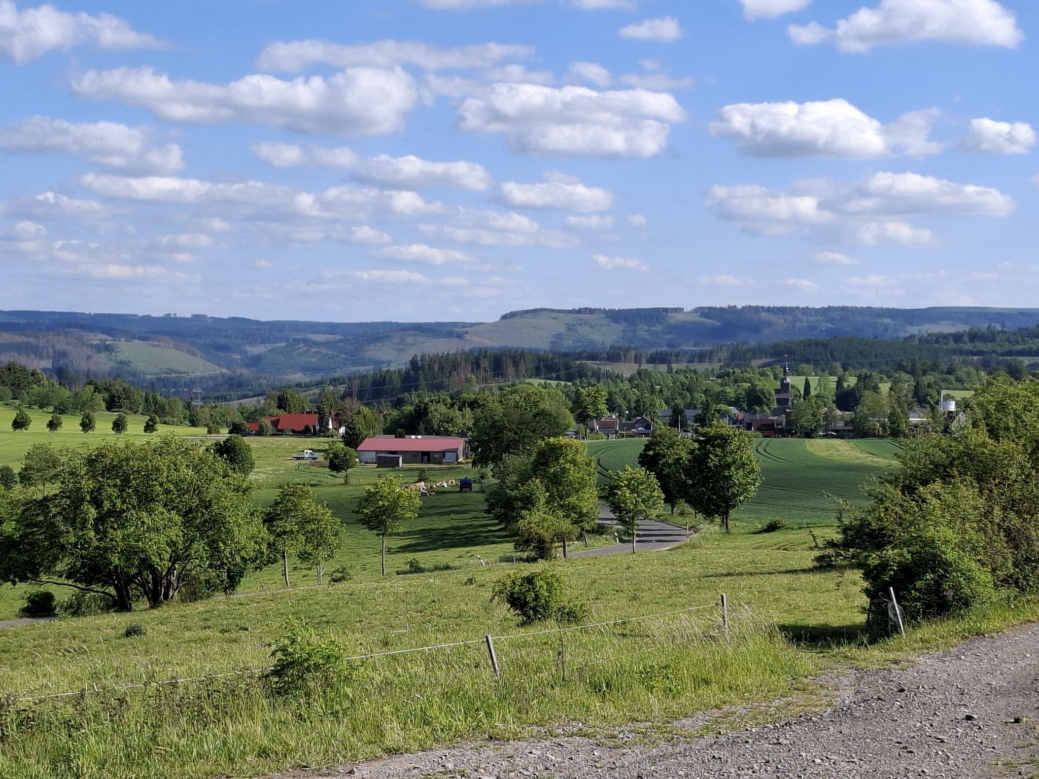 Böhlen in Sicht