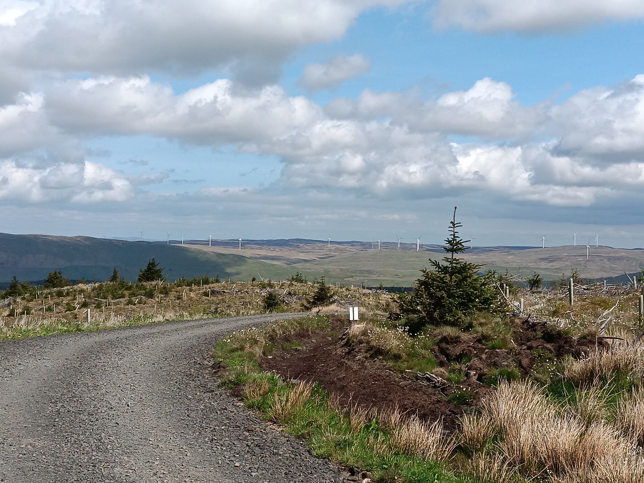 View north to Kingsburn & Earlsburn wind farms.