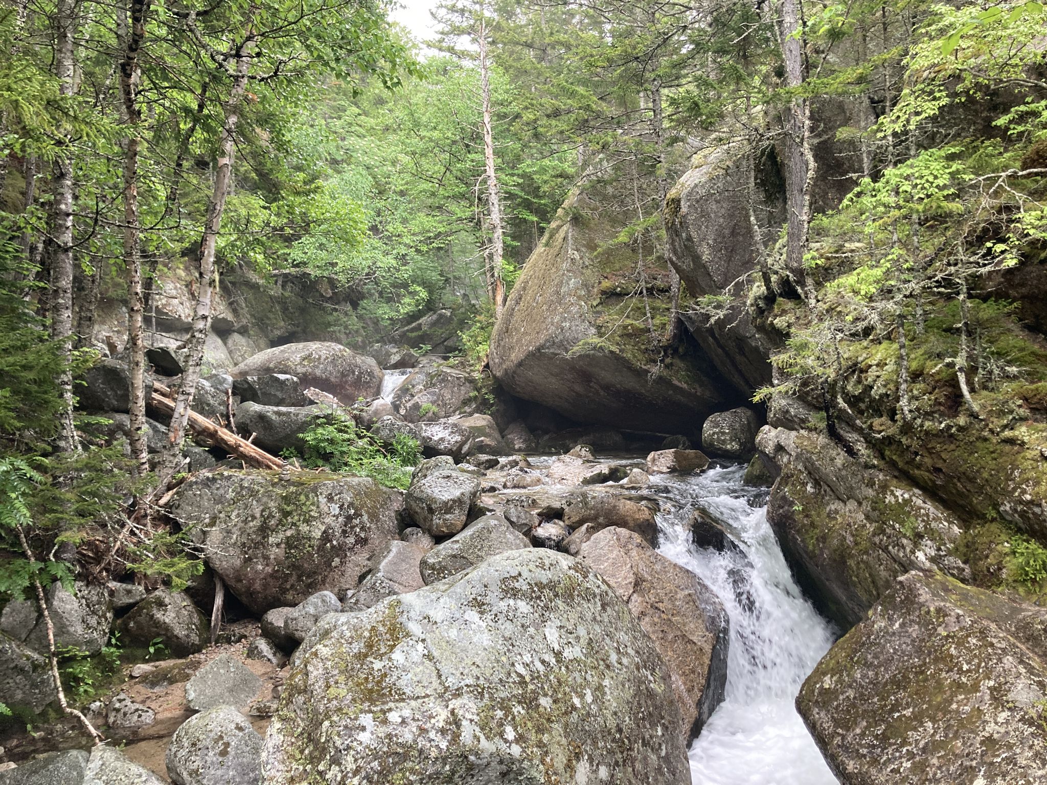 Rocky stream with small waterfalls flowing through a lush green forest. - Katahdin Falls via Hunt Trail