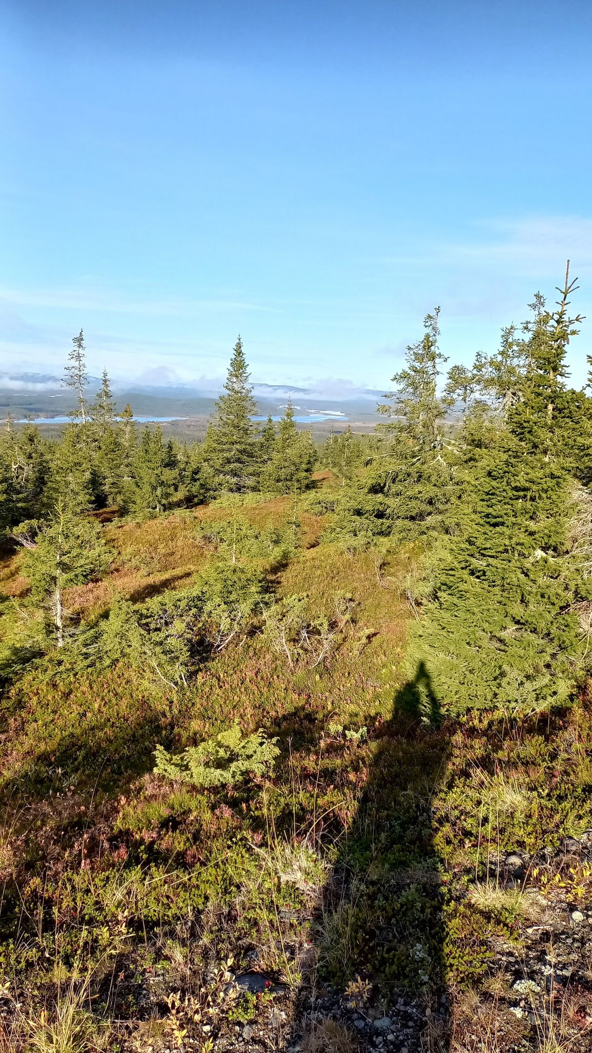 Weg auf den Akkanålke Norbotton Schwedisch Lappland