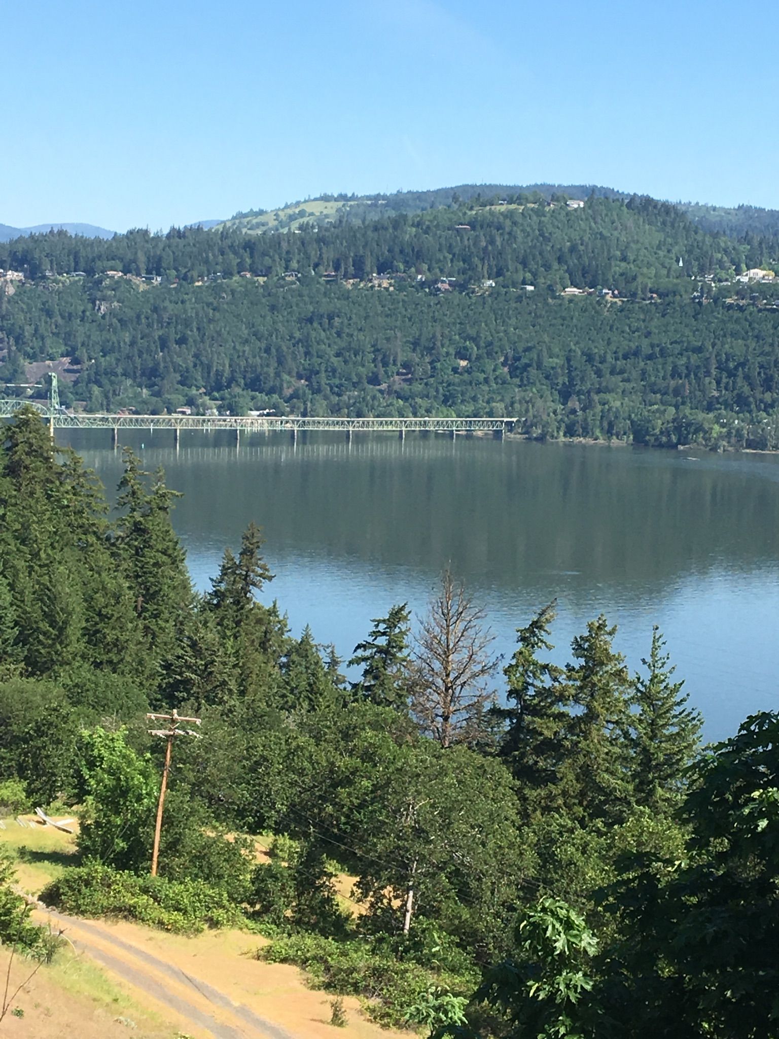A wide river with a distant bridge, surrounded by green forested hills. - Twin Tunnels Trail – Panorama Point loop from Hood River