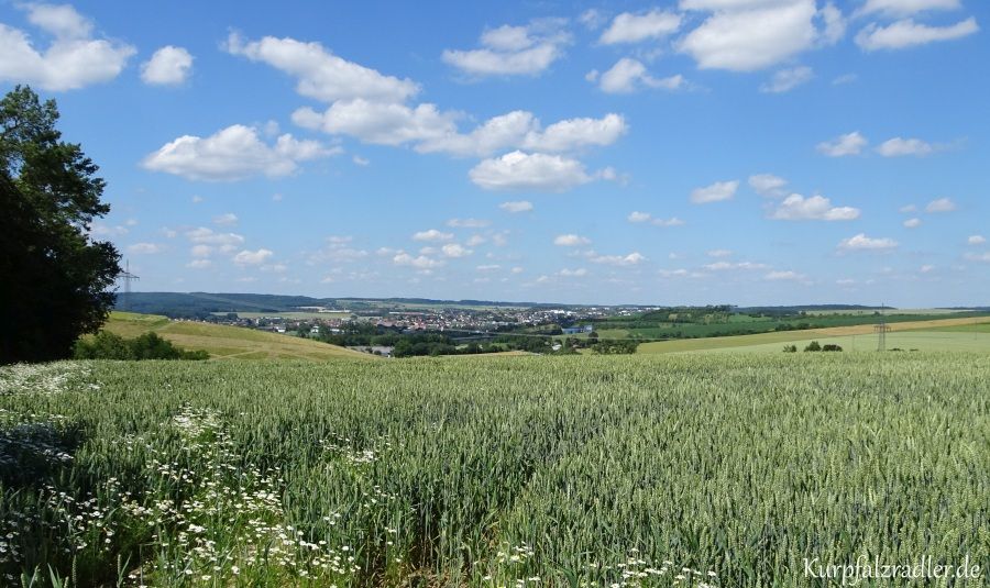 Buchen im Odenwald