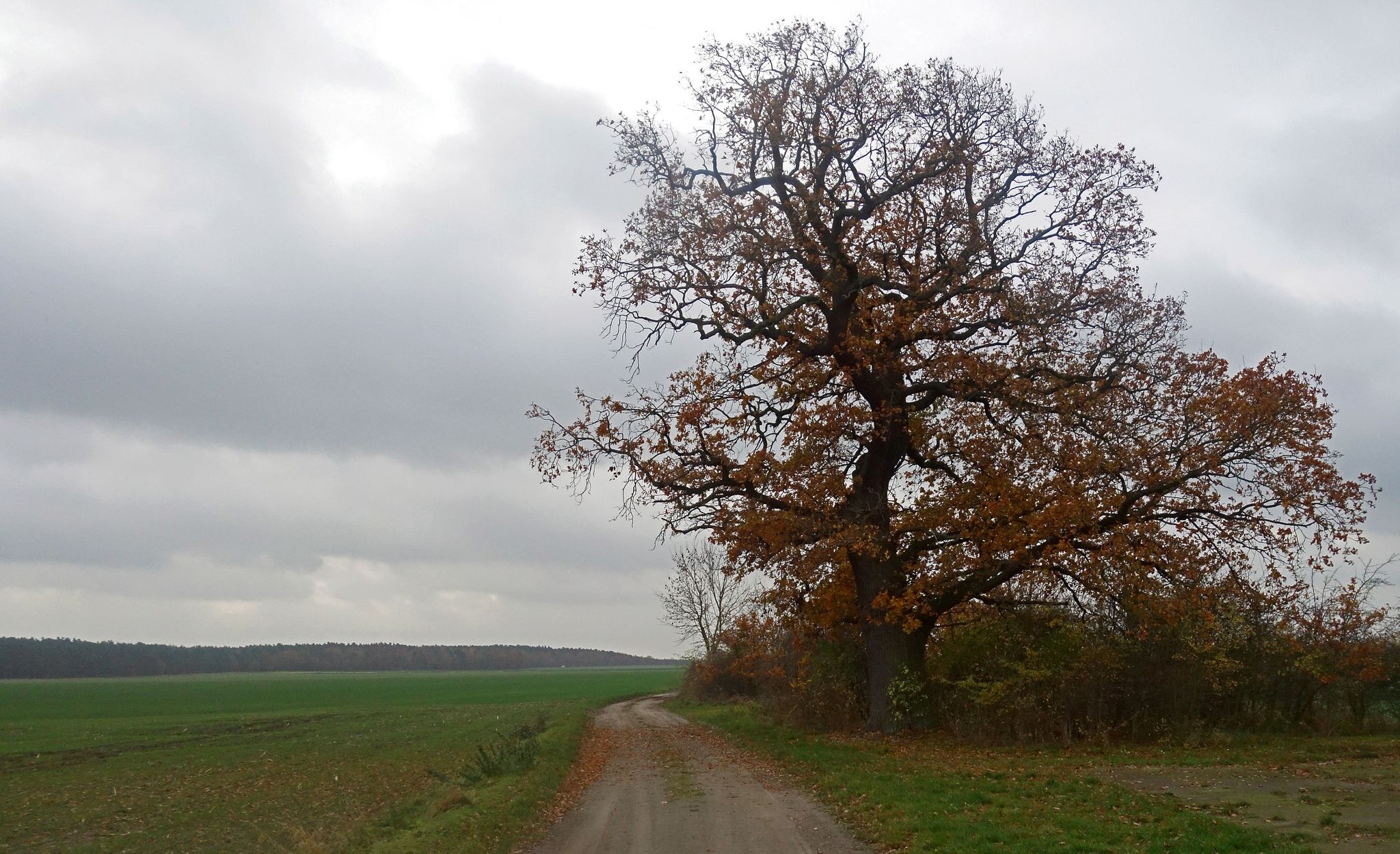 ein weites Land im Winterschlaf