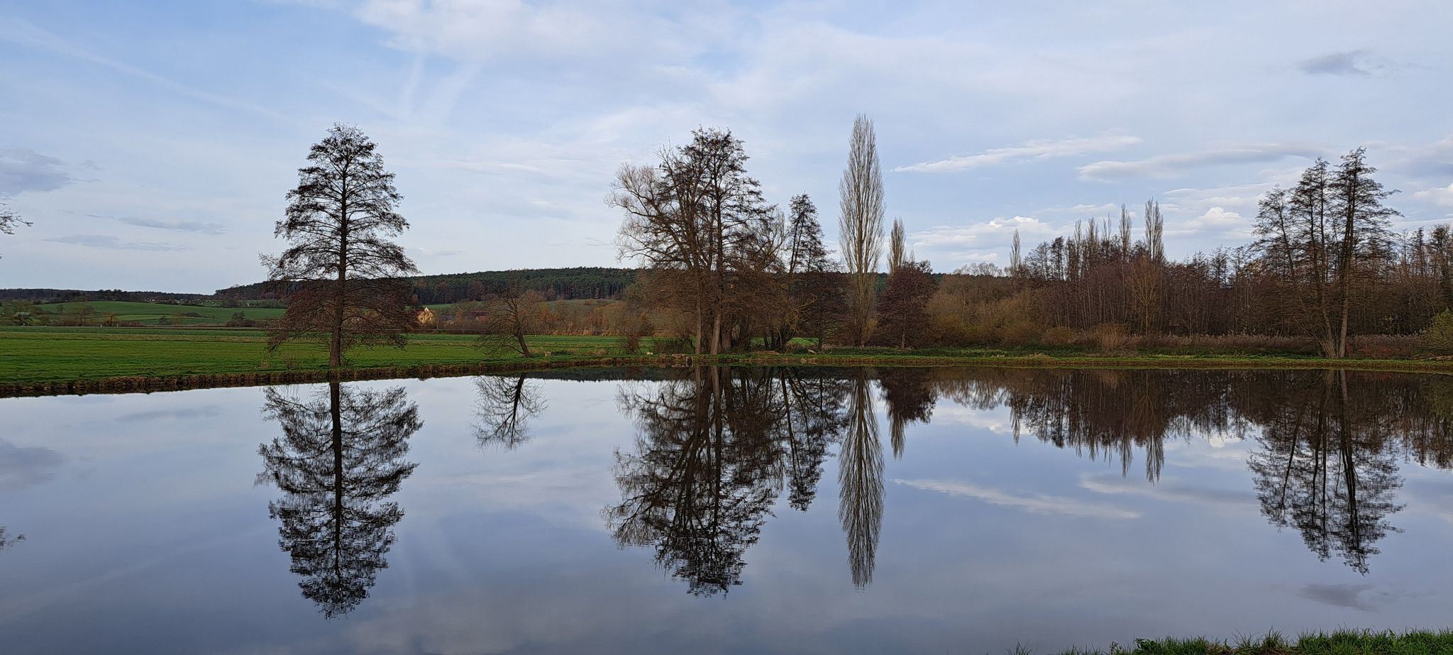 Dorfweiher 🐟