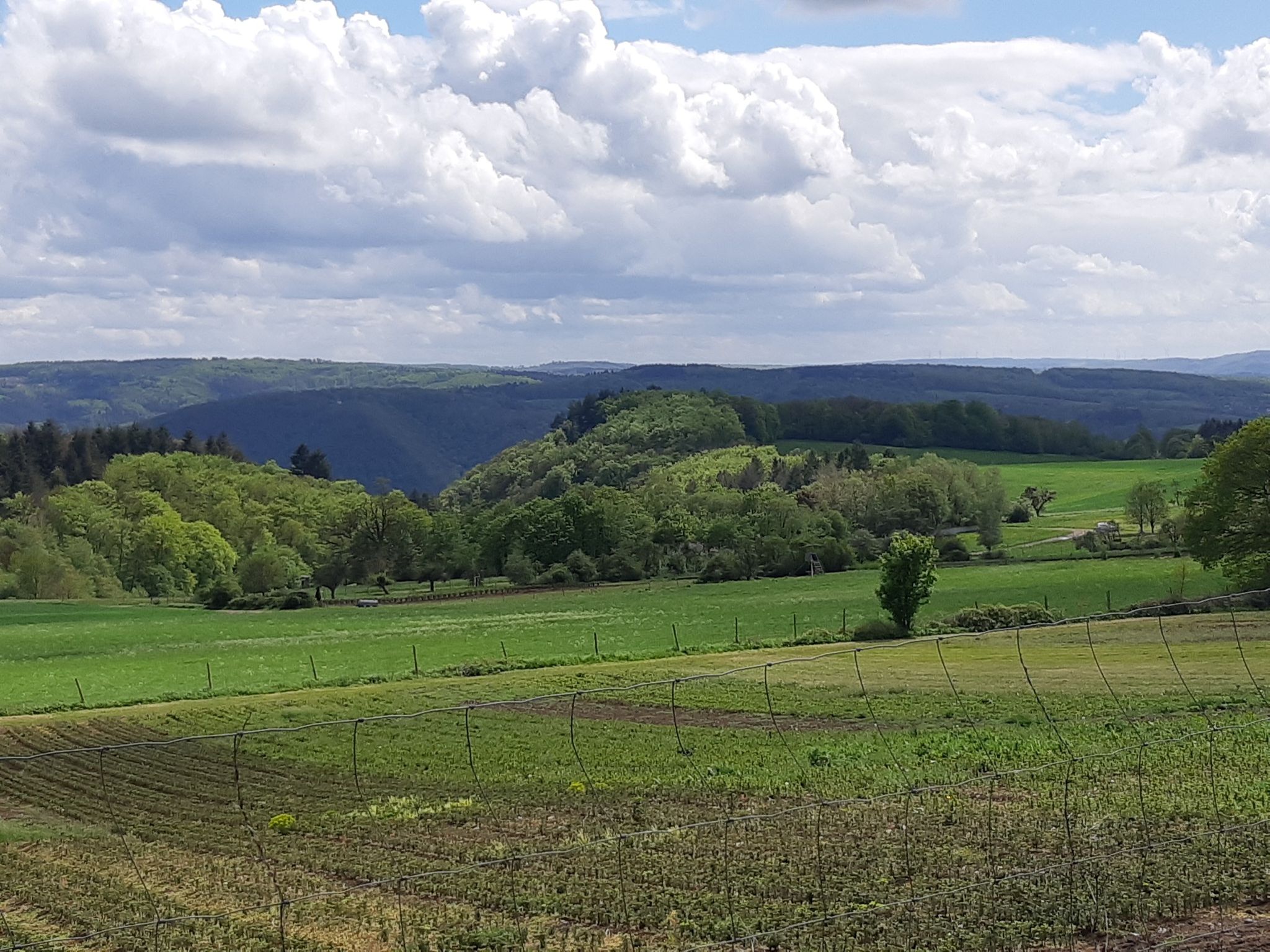 Ausblick 2