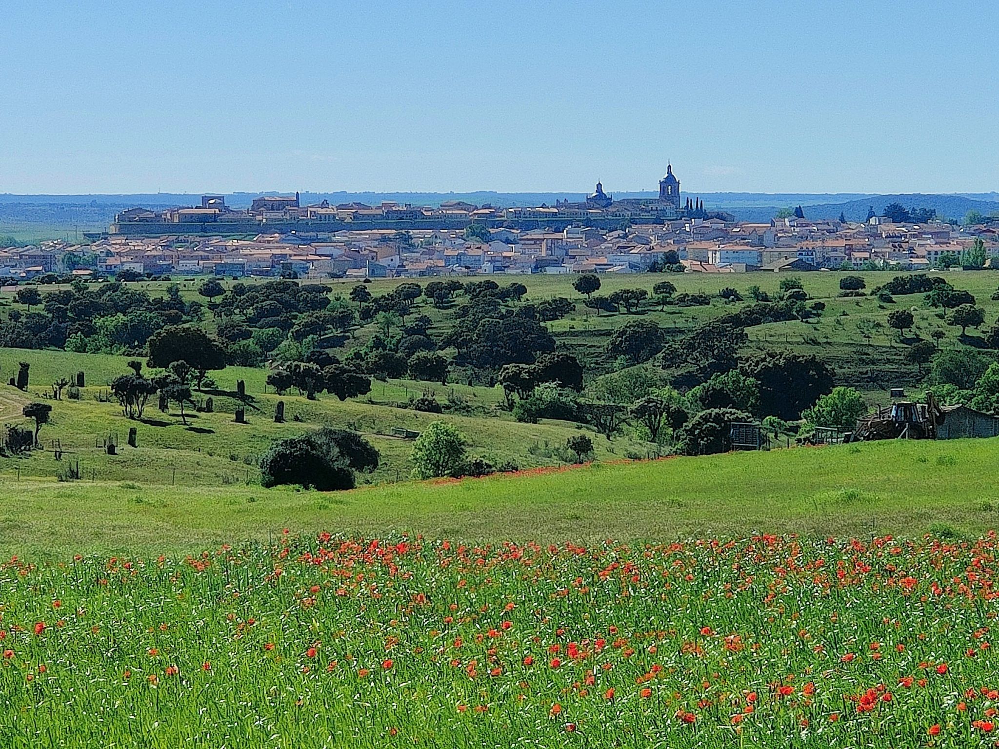 Llegando a Ciudad Rodrigo. Camino Torres.