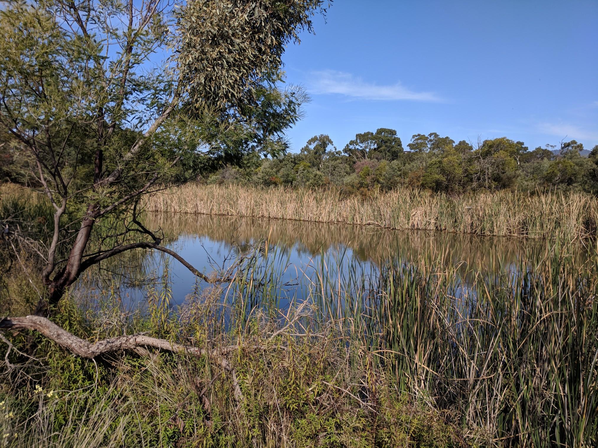 O que fazer em Beekeepers Nature Reserve