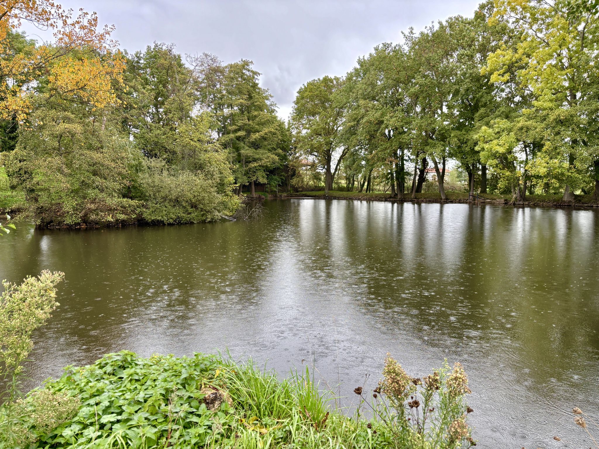 L’étang du Contenson